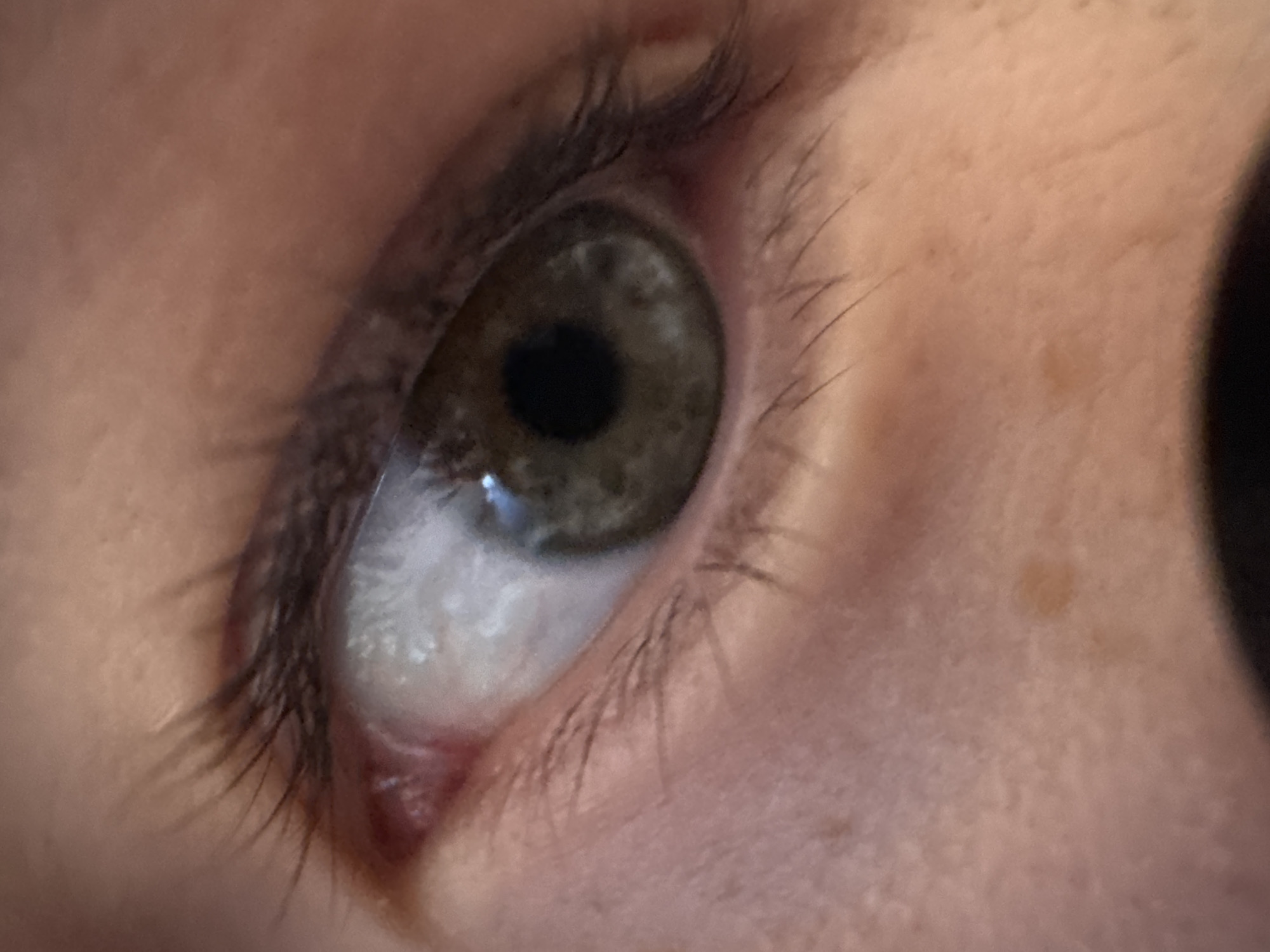 An extreme close-up, slightly angled shot focuses on a human eye, depicting the iris, pupil, sclera, eyelashes, and surrounding skin. The iris displays a complex pattern of greenish-brown or hazel tones, while the pupil is dark and appears dilated. The white sclera is visible, with a reddish tint near the inner corner, suggesting the tear duct area. Long, dark eyelashes frame both the upper and lower eyelids. The skin around the eye is light-toned, showing subtle texture, fine lines, and a few small freckles or pigmentation spots. The eye is gazing upwards and slightly to the right. The lighting is soft, creating a small glint on the surface of the iris. No specific activity or event is depicted beyond the gaze of the eye. There are no discernible location cues, weather conditions, or visible text within the frame. The overall impression is a detailed, intimate view of the eye.
