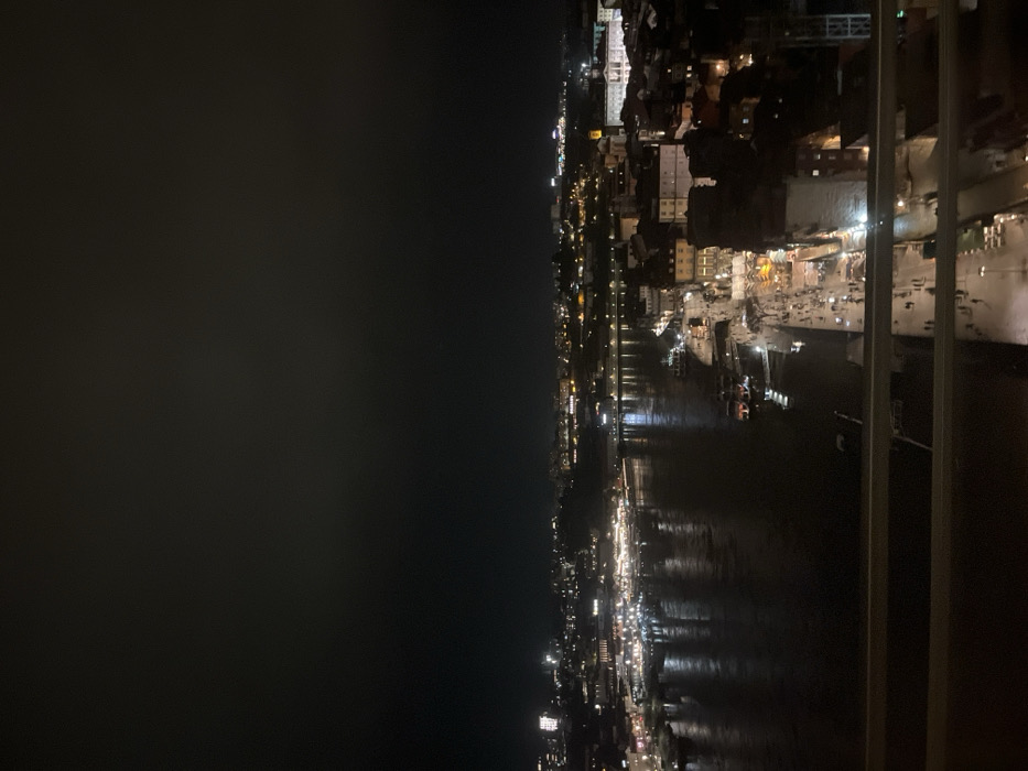 The image displays a panoramic night view of a cityscape lining a body of water, likely a wide river or canal, taken from an elevated vantage point. The photograph is oriented vertically, and when viewed horizontally (rotated 90 degrees counter-clockwise), it reveals the full scene.
The upper portion of the image (originally the left side) is dominated by the deep black of the night sky. Below the sky, extending horizontally across the mid-ground, is the distant bank of the river, adorned with countless artificial lights. These lights, ranging from soft glows to sharp points, outline buildings and infrastructure along the shoreline, creating a vibrant, illuminated horizon.
The central part of the image is occupied by the dark, calm surface of the water, which acts as a mirror, reflecting the city lights above. These reflections appear as elongated, shimmering vertical streaks, adding a dynamic and atmospheric quality to the scene.
On the closer bank, which stretches from the mid-ground towards the foreground (originally the right side of the image), a denser and brighter collection of buildings is visible. These structures are brightly lit, showcasing various architectural styles and sizes, from smaller establishments to larger, possibly historic buildings with prominent facades. Numerous small, bright lights suggest active streets, marketplaces, or populated areas along the waterfront, with what appear to be crowds of people or vehicles.
In the extreme foreground, on the right side of the image (originally the far right edge), a metallic railing or part of a bridge structure is visible, indicating that the photo was captured from an elevated position, such as a bridge, a high balcony, or a riverside promenade.
The time of day is clearly night, as indicated by the dark sky and the heavy reliance on artificial lighting. The weather appears clear, with sharp lights and distinct reflections on the water, suggesting no fog or precipitation. The scene conveys a sense of a lively, bustling urban environment after dark, with the river acting as a central, reflective element. No discernible text is visible in the image.