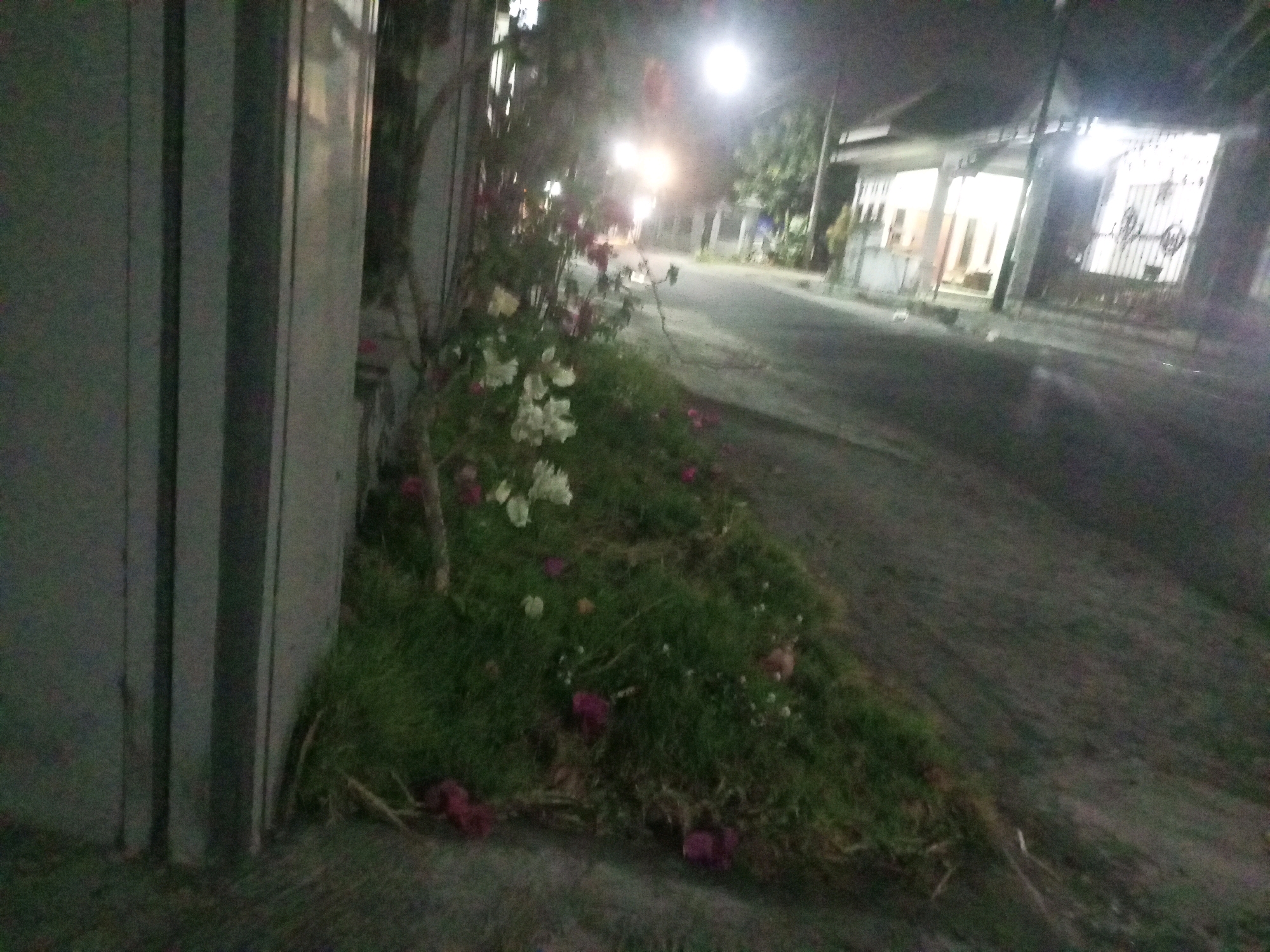 A nighttime scene in the city of Ngasem, Indonesia, features a gray vertical structure on the left, possibly a wall or a fence. Adjacent to it, a patch of grass is illuminated by artificial light, with scattered pink and white flowers. Beyond the greenery, a paved road stretches into the distance, flanked by houses on the right. One house has bright interior lights and a metal gate with vertical bars. Streetlights cast a yellowish glow on the road, creating a somewhat hazy atmosphere. The overall impression is of a quiet residential street at night.