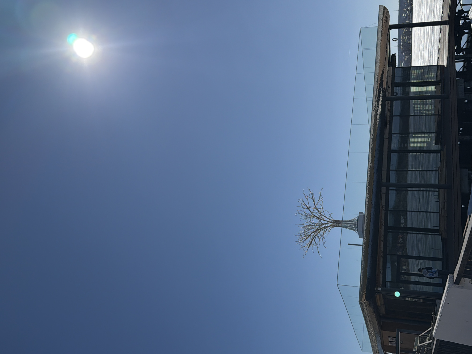 The image shows a building in Votkinsk, Russia, likely a restaurant or bar, with a glass-enclosed upper level. The building is situated near the water's edge, with the lake or river visible in the background. A decorative, illuminated tree stands on the upper level. The sky is clear blue with the sun shining brightly. The image is taken from a low angle, looking upwards. The building's architectural style is modern, with clean lines and large glass windows. Some scaffolding is visible on the building. A person is also visible inside the building.