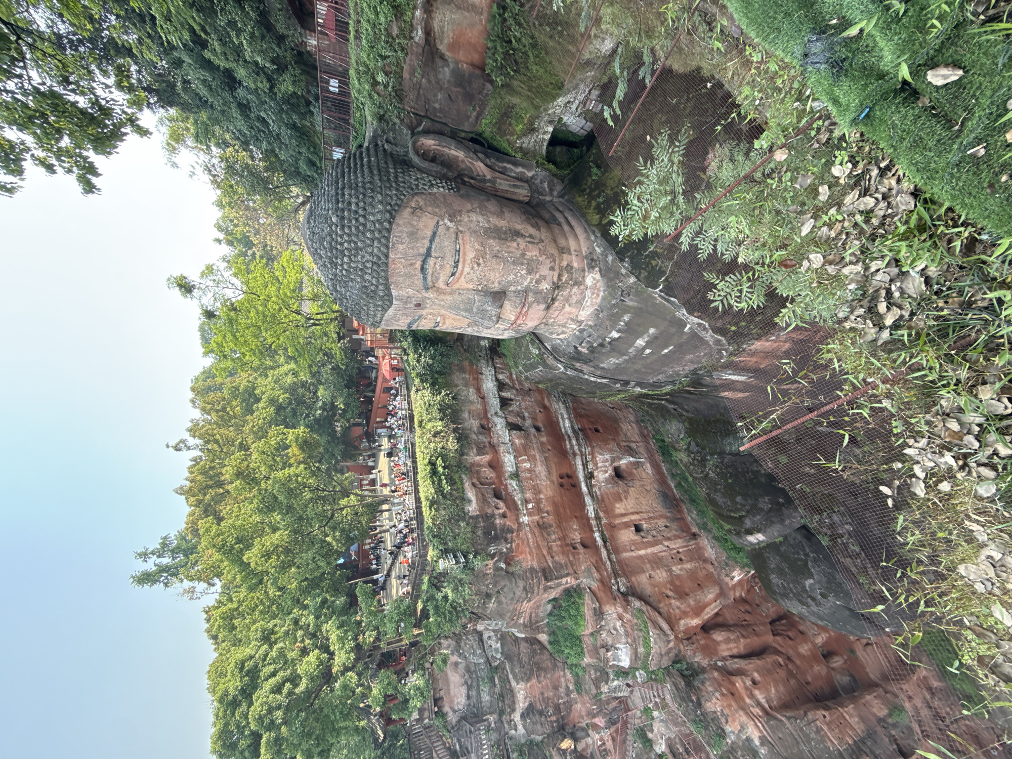 The image captures a monumental stone carving of a Buddha's head and upper torso, known as the Leshan Giant Buddha, carved directly into a reddish-brown cliff face. The Buddha's weathered face displays a serene expression with closed eyes and tightly curled hair. Lush green trees and dense vegetation flank the cliffs, with some greenery growing on the rock surfaces surrounding the statue.
Numerous people are visible on multi-level walkways and observation platforms on the opposing cliff side and near the Buddha's head, appearing to be tourists or visitors observing the colossal sculpture. Safety netting and railings are incorporated along the paths and near the monument, indicating managed access and preservation efforts. The sky is bright and clear, suggesting daytime with fair weather. The scene depicts a significant cultural and historical site, highlighting the integration of ancient artistry with the natural landscape in Shizhong, China.