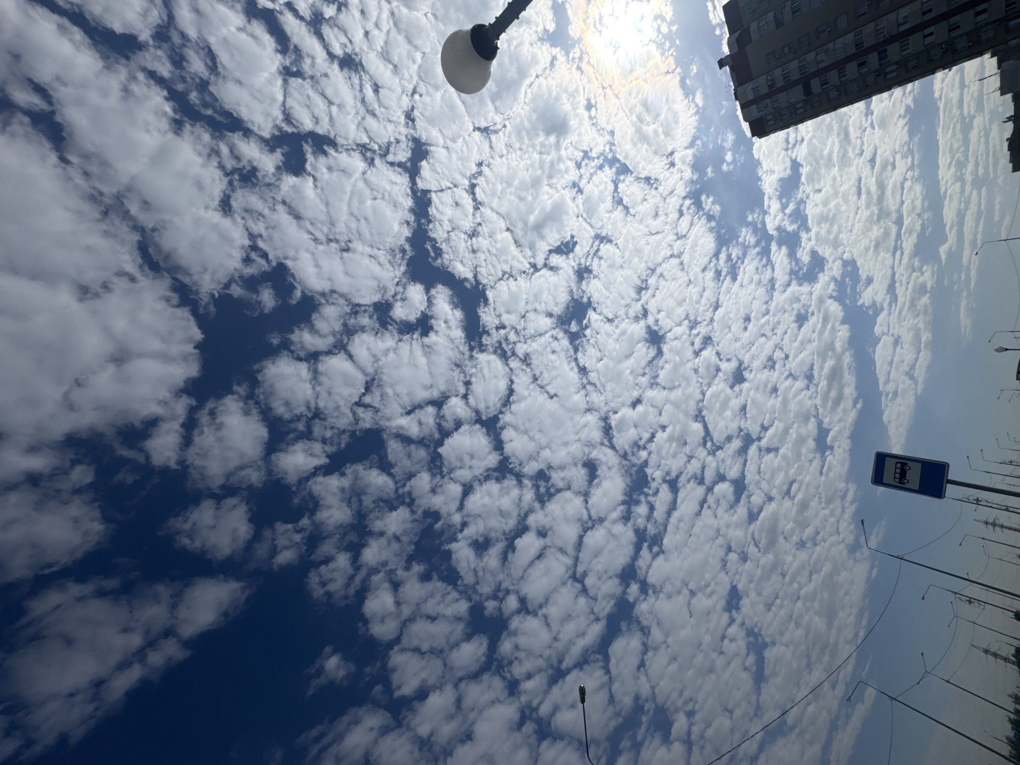 The image captures a low-angle view of a city scene in Unknown, Unknown. The sky is predominantly filled with altocumulus clouds against a blue backdrop. At the top of the frame, there is a portion of a building with multiple windows. A street lamp is visible towards the upper-left corner. In the lower-right portion, a bus stop sign and several other street lamps are present. Power lines are also seen against the sky. The sun is shining through a thin section of clouds, creating a bright spot in the sky.