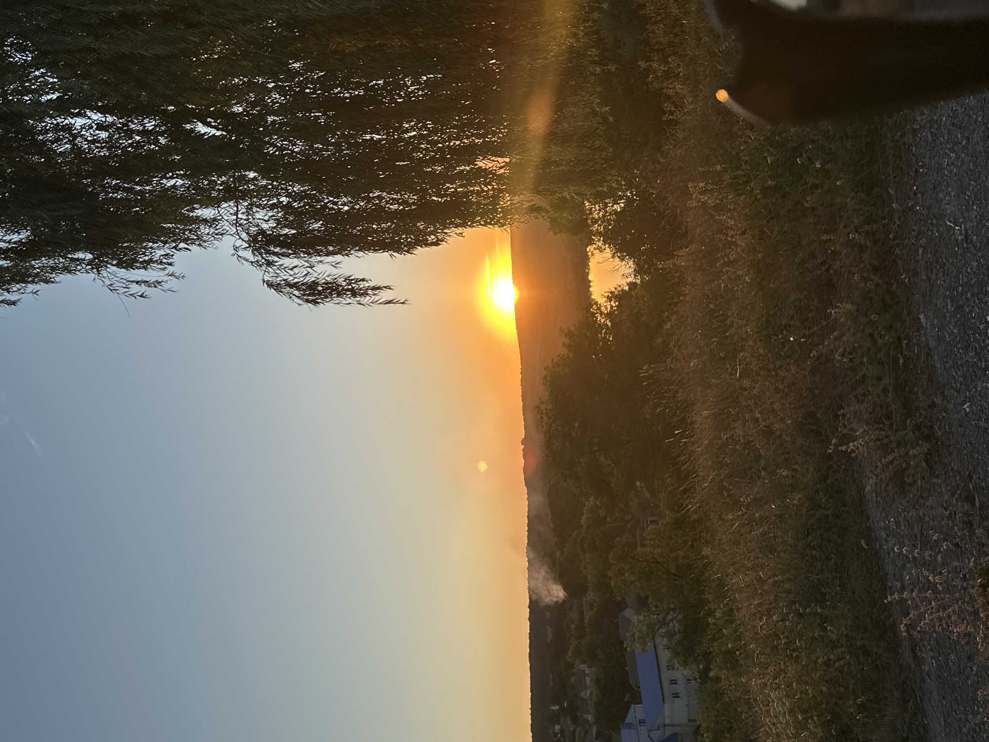 The image depicts a scenic sunset over the city of Makiv, Ukraine. The sky transitions from a clear blue at the top to a warm orange hue near the horizon, with the sun prominently visible, casting a golden glow. A large tree with drooping branches, likely a weeping willow, dominates the right side of the frame, its dark silhouette contrasting with the bright sky. In the mid-ground, rolling hills are covered with lush greenery, dotted with houses, some with blue roofs, indicating a residential area. A body of water, possibly a lake or river, reflects the warm light of the sunset. Smoke plumes rise from the landscape, suggesting a possible fire or controlled burning in the distance. The foreground consists of dry grass and a gravelly path. The overall scene captures a tranquil evening in a Ukrainian countryside setting.
