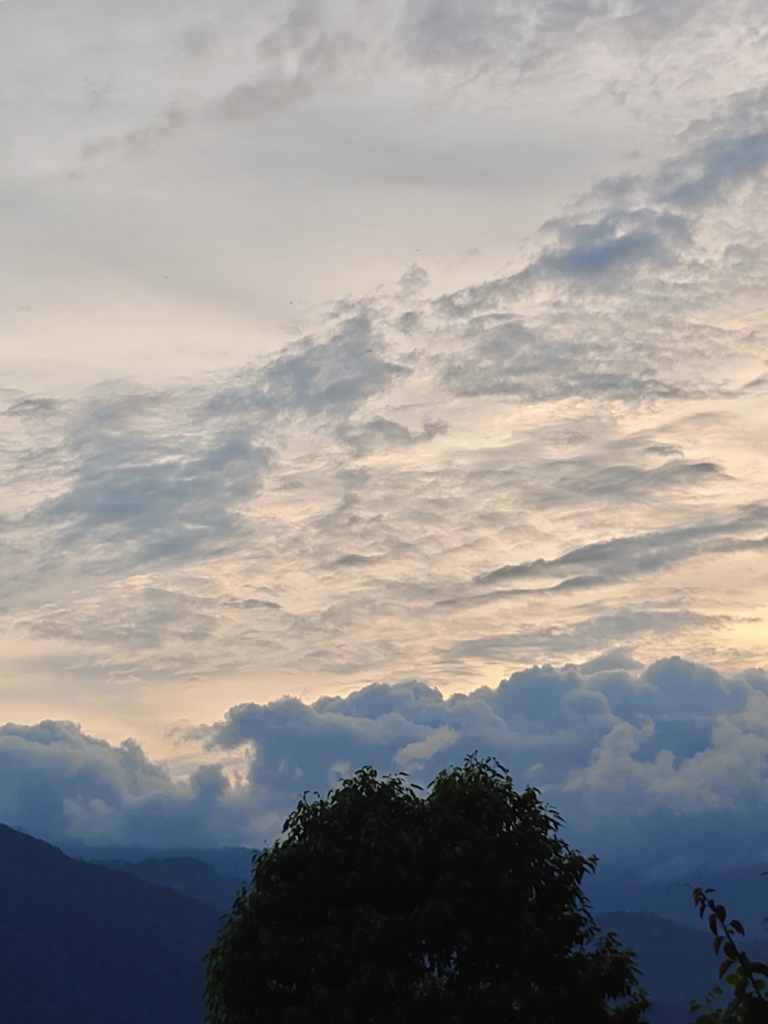 The image depicts a mountain landscape near Pokhara, Nepal, under a dramatic sky. The foreground is dominated by the dark silhouette of a large tree. Behind the tree, layers of mountains recede into the distance, appearing in progressively lighter shades of blue and grey. The sky is filled with a complex arrangement of clouds. Higher up, thin, wispy clouds are spread across the sky, tinged with a soft yellow and white from the diffused sunlight. Closer to the horizon, thicker, cumulus clouds are visible, creating a sense of depth and texture. The overall impression is of a serene yet powerful natural scene, likely captured during either sunrise or sunset due to the lighting conditions.