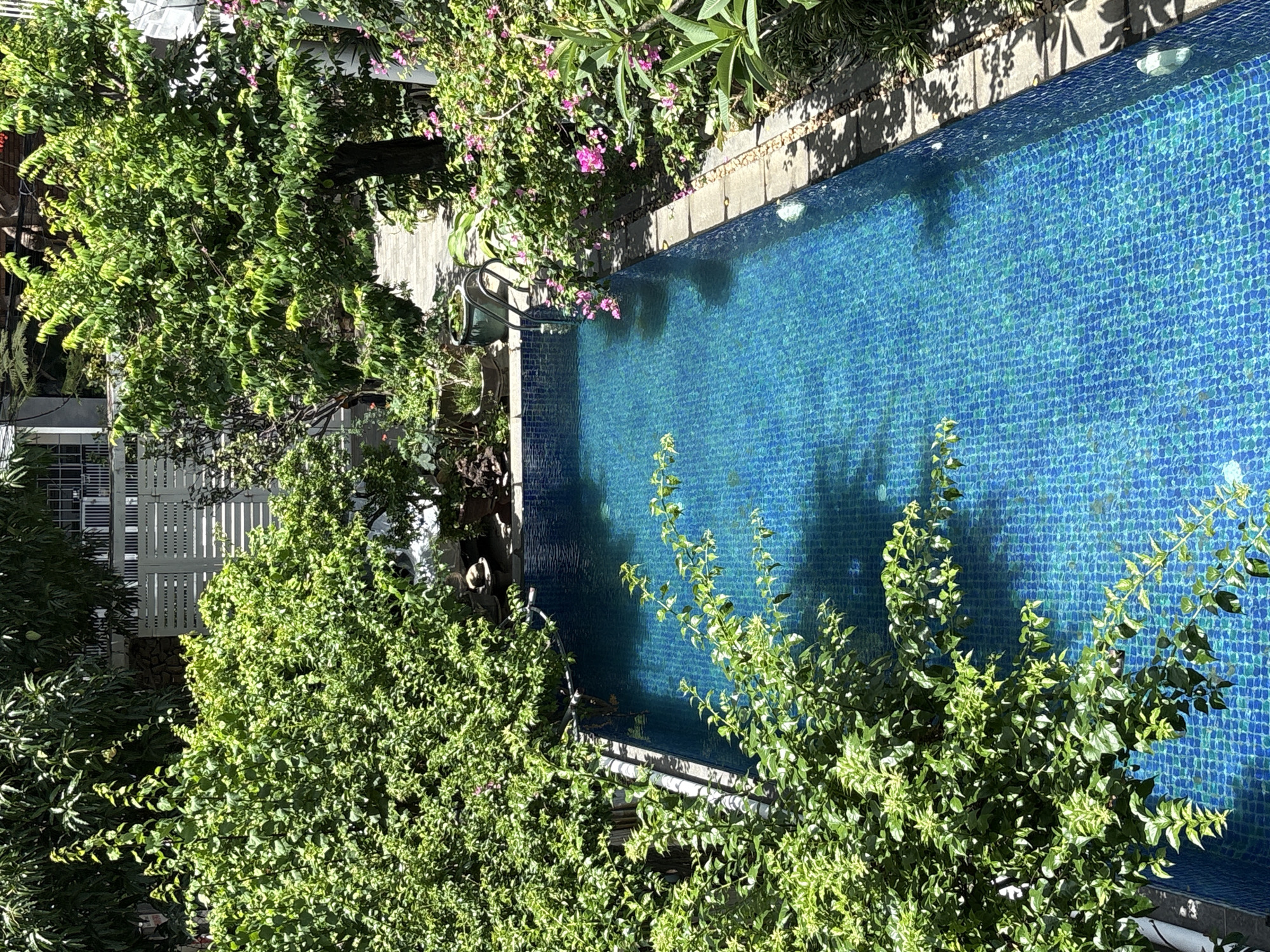 A top-down, slightly angled view captures a rectangular swimming pool filled with bright blue, tiled water. Lush green foliage surrounds the pool, with branches of trees and shrubs hanging over the edges and casting dappled shadows on the water's surface. A stone pathway, composed of light gray pavers, runs along the right side of the pool, bordered by more greenery and vibrant pink flowers. A metal ladder with two steps is partially submerged in the water at the far end, near a potted plant and a white fence. The background reveals more dense vegetation and a portion of a building with white railings. The scene appears to be an outdoor residential or resort setting in Nha Trang Ward, Vietnam.