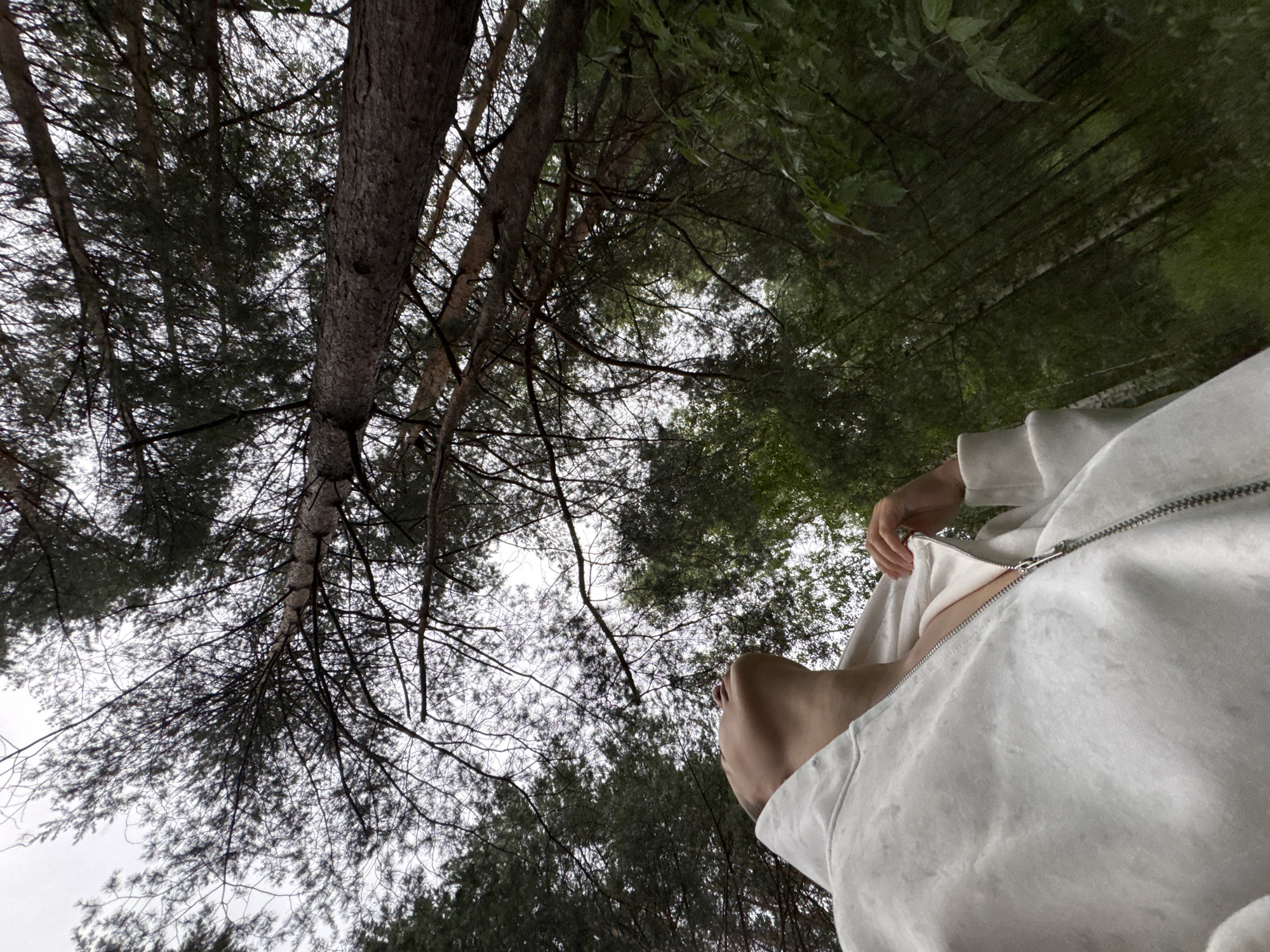 This low-angle shot captures a person from the chest up, seen from their perspective looking upwards. They are wearing a light-colored zip-up hoodie, with the zipper partially open, revealing a hint of skin. Their left hand is visible, adjusting the zipper. The scene is set outdoors, likely in a forest, with tall trees and dense foliage dominating the background. The sky above is overcast, suggesting a cloudy or possibly rainy day. The time of day is indeterminate due to the lighting conditions. The overall mood is somewhat introspective and relaxed. The image appears to be taken in Chaikovsky, Russia. There is no visible text in the image.