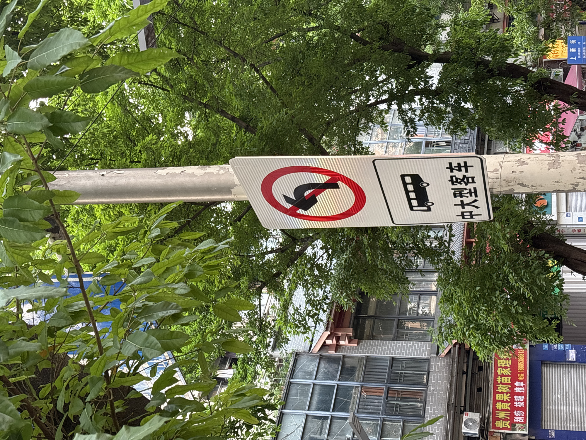 The image shows a street sign in Nan'an District, China, that prohibits U-turns for medium and large passenger vehicles. The sign is attached to a metal pole, with trees and buildings visible in the background. The sign is white with black text and a red circle around a black arrow depicting a U-turn. A separate sign below the prohibition sign shows a silhouette of a bus with Chinese characters next to it that are identified to mean "medium and large passenger vehicles." A red sign is visible in the background. The red sign has Chinese characters which translate to "Guizhou Huangguoshu Miao Family Physiotherapy Scraping Cupping Massage Telephone: 1885386813." Another sign reads "Shangxin Street, Shangxin Jie."