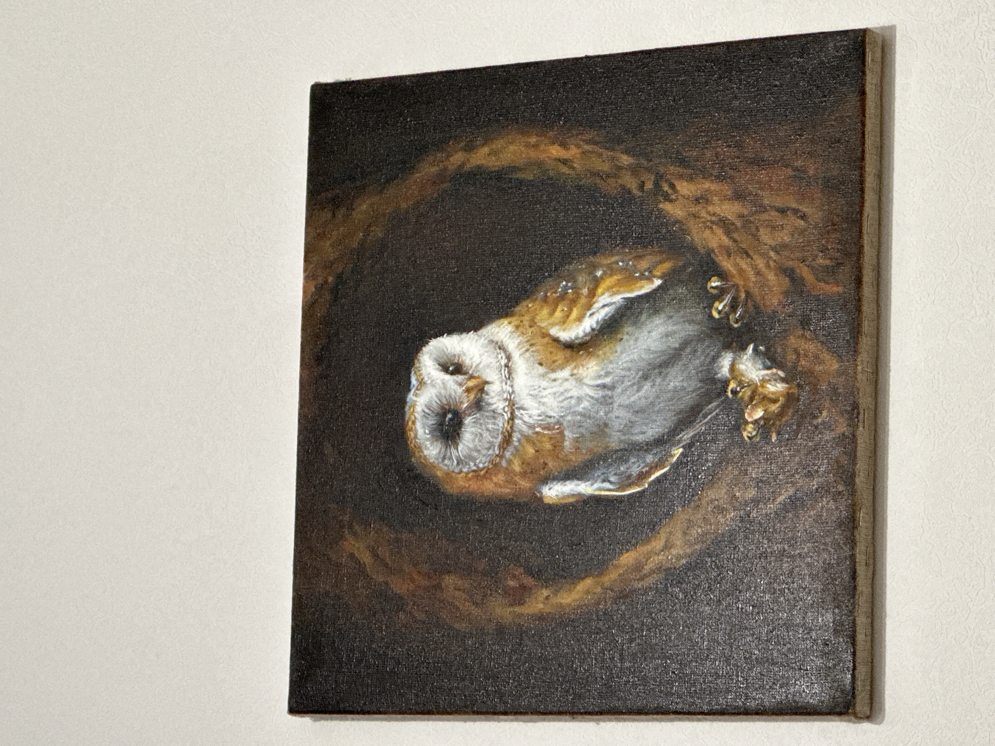 A square-format oil painting depicts a barn owl perched on a branch. The owl is shown front-on, its white face with dark eyes contrasting against its golden-brown and grey plumage. Its talons grip a textured branch that curves around it, forming a dark, circular frame. The background is dark and indistinct, focusing attention on the owl and its immediate surroundings. The painting is mounted on a canvas stretcher and leans against a white wall. The lighting suggests an indoor setting, with the white wall illuminated from above and to the left.