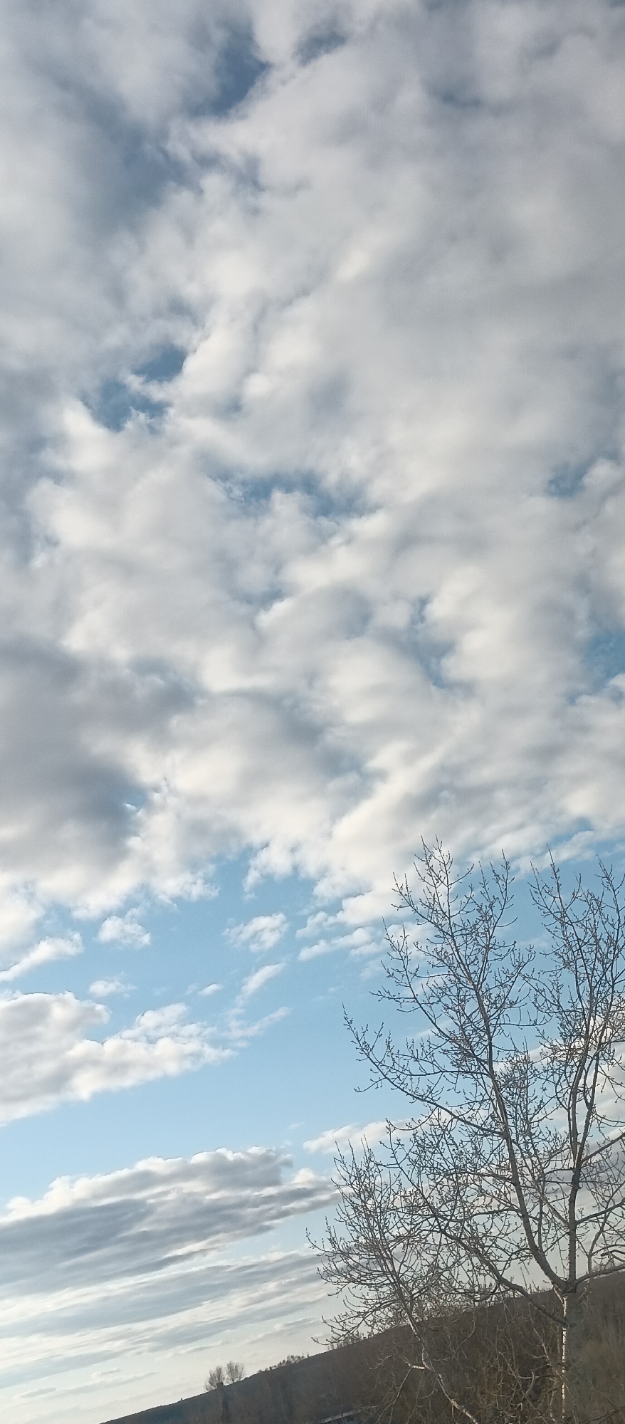 The image depicts a sky filled with white and gray clouds, revealing patches of blue sky in between. A bare tree, devoid of leaves, stands in the foreground. In the distance, a low-lying landscape can be seen. The location is Unknown, Unknown.