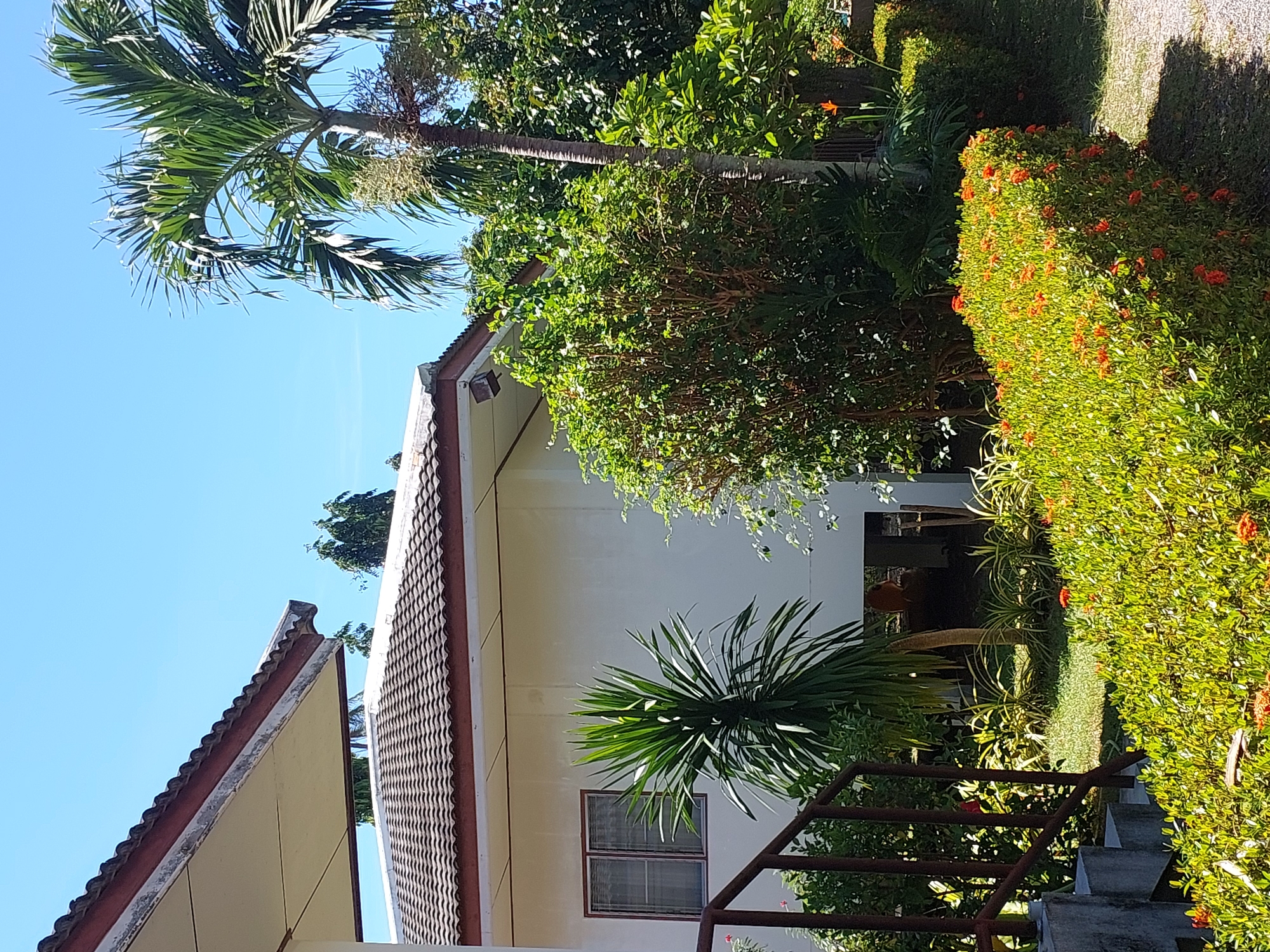 The image shows a white building with a tiled roof in Baan Mae Nam, Thailand. There are several types of plants in the foreground, including a hedge with small red flowers, a palm tree, and a spiky green plant. A staircase with a brown railing leads up to the building. The sky is clear and blue. The building appears to be a single-story structure with windows. The overall scene is one of a tropical outdoor environment.