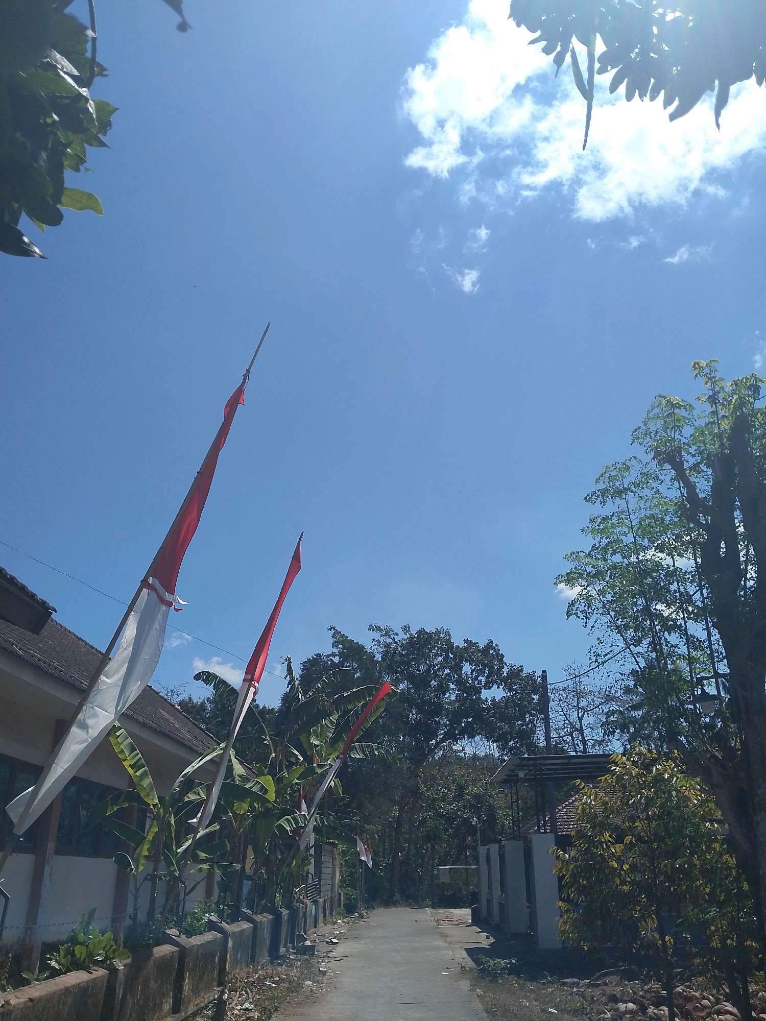 A low-angle, vertical shot captures a clear blue sky with scattered white clouds. In the foreground, on the left side of the image, is a building with a tiled roof. Two Indonesian flags, red and white, are prominently displayed on wooden poles, one taller than the other, waving in the breeze. Lush green banana trees and other foliage grow along a low concrete barrier in front of the building. A paved road runs into the background, flanked by more trees and some structures. The scene appears to be a residential street in Karangsari, Indonesia, bathed in bright sunlight, suggesting it is daytime. There are no people visible in the image.