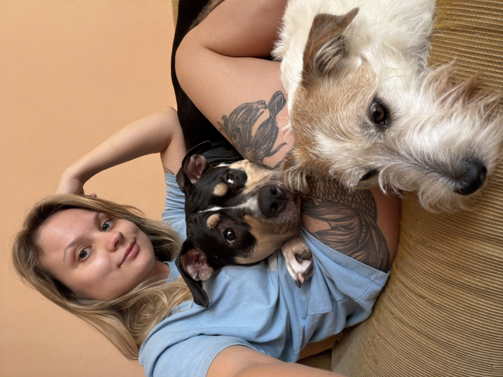 A woman with blonde hair, wearing a blue t-shirt, is lying on a brown striped couch. Two dogs are lying on her chest. One dog is black and brown, and the other dog is white and brown. The woman has tattoos on her arms and legs. The background is a plain peach-colored wall. The location is not discernible as Tel-Aviv based on the information contained within this image.