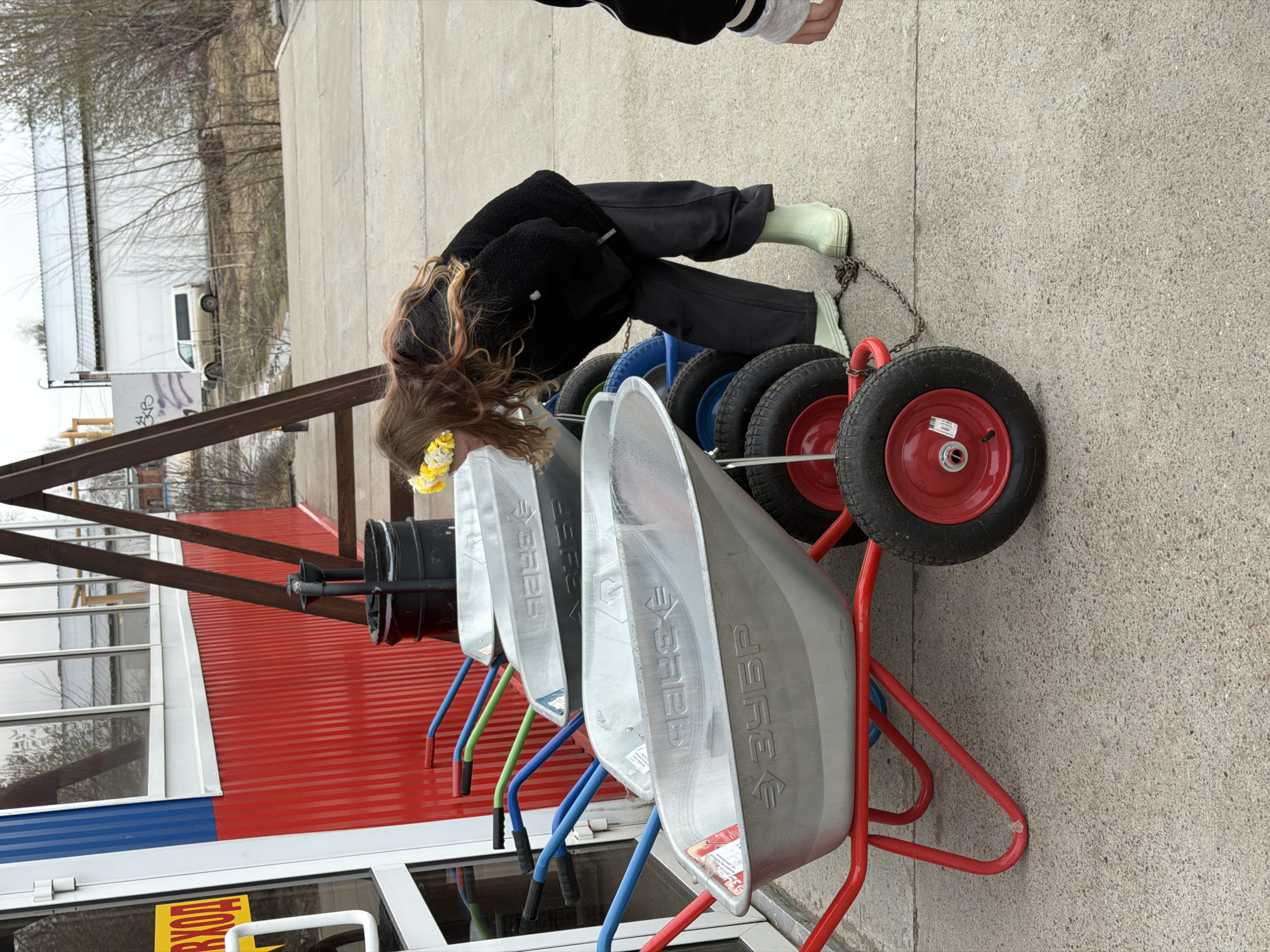 The image depicts an outdoor scene in Chaikovsky, Russia, featuring a person interacting with a display of wheelbarrows.
A person, likely female, with long wavy brown hair adorned with a yellow floral accessory, is bending over to observe a row of wheelbarrows. She is dressed in a black fleece jacket, dark trousers, and distinctive light green boots. The person's left boot is visible near a chain that secures the wheelbarrows.
In the foreground, several wheelbarrows are lined up. They feature silver-colored metal bins and frames painted in various colors, including red, blue, green, and black. Each wheelbarrow has a single black tire with a red hub, and they appear to be chained together, possibly for security in a retail or rental setting.
The setting is a concrete pavement area outside a building. In the mid-ground, a red corrugated metal roof is prominent, alongside a section of the building painted blue and large windows. The background shows bare trees and a white van, suggesting a semi-industrial or commercial zone. The lighting indicates it is daytime, possibly under an overcast sky.
Visible text includes the brand name "ЗУБР" (ZUBR) embossed on the side of the wheelbarrow bins. On a yellow sign located near a doorway, the word "ВЫХОД" (VYKHOD), meaning "EXIT," is clearly legible. The scene captures a moment of casual observation or selection of equipment.