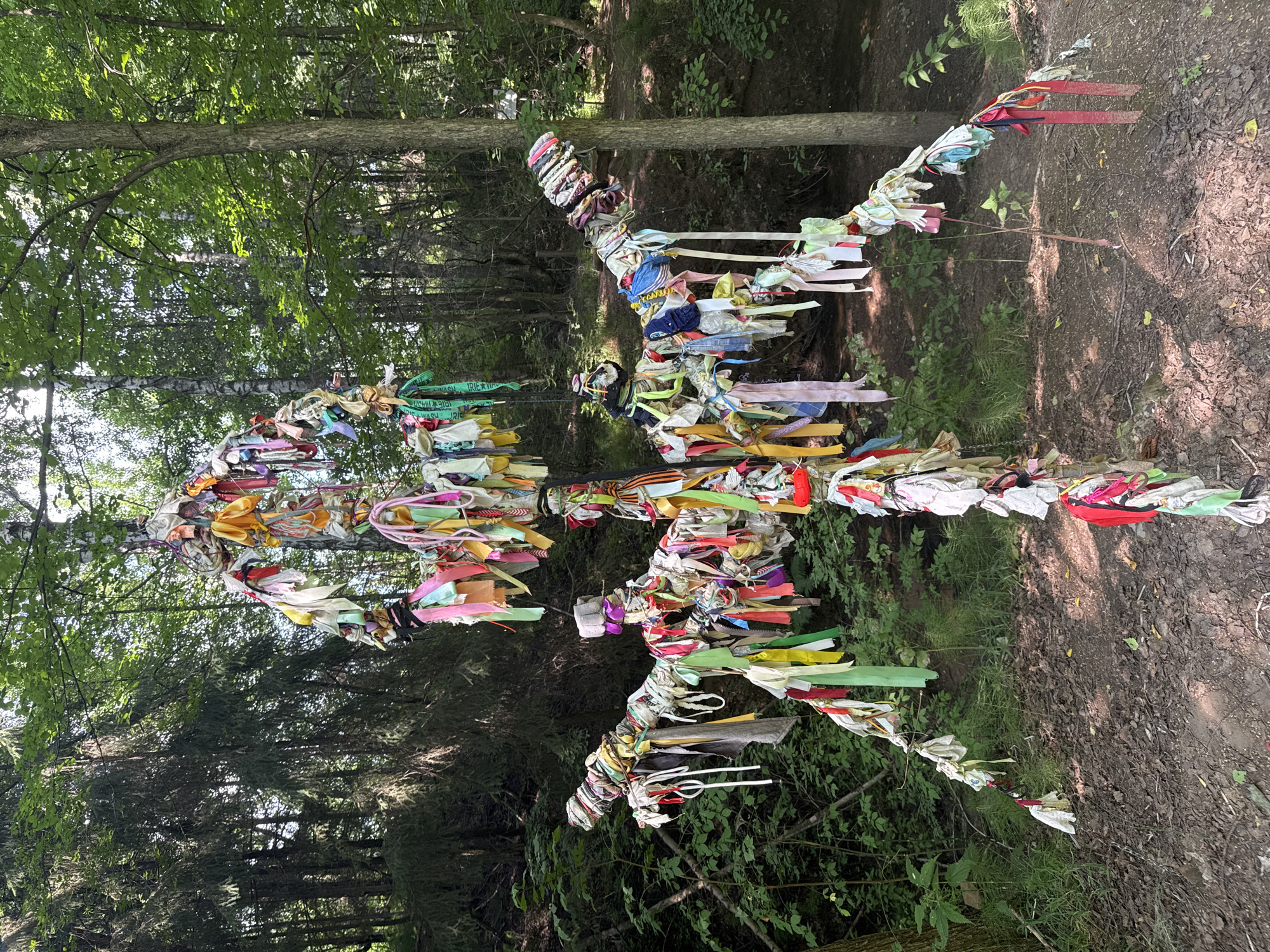 The image shows a tall, cross-shaped structure adorned with numerous colorful ribbons and fabric strips. This structure is situated in a forest clearing. The ground is covered with dirt and fallen leaves. The surrounding environment is dense with trees, with sunlight filtering through the canopy, creating dappled light on the ground and the structure. The overall impression is that of a natural, possibly sacred or commemorative site. This structure is located at the "Trail of Wishes" near Izhevsk, Russia.