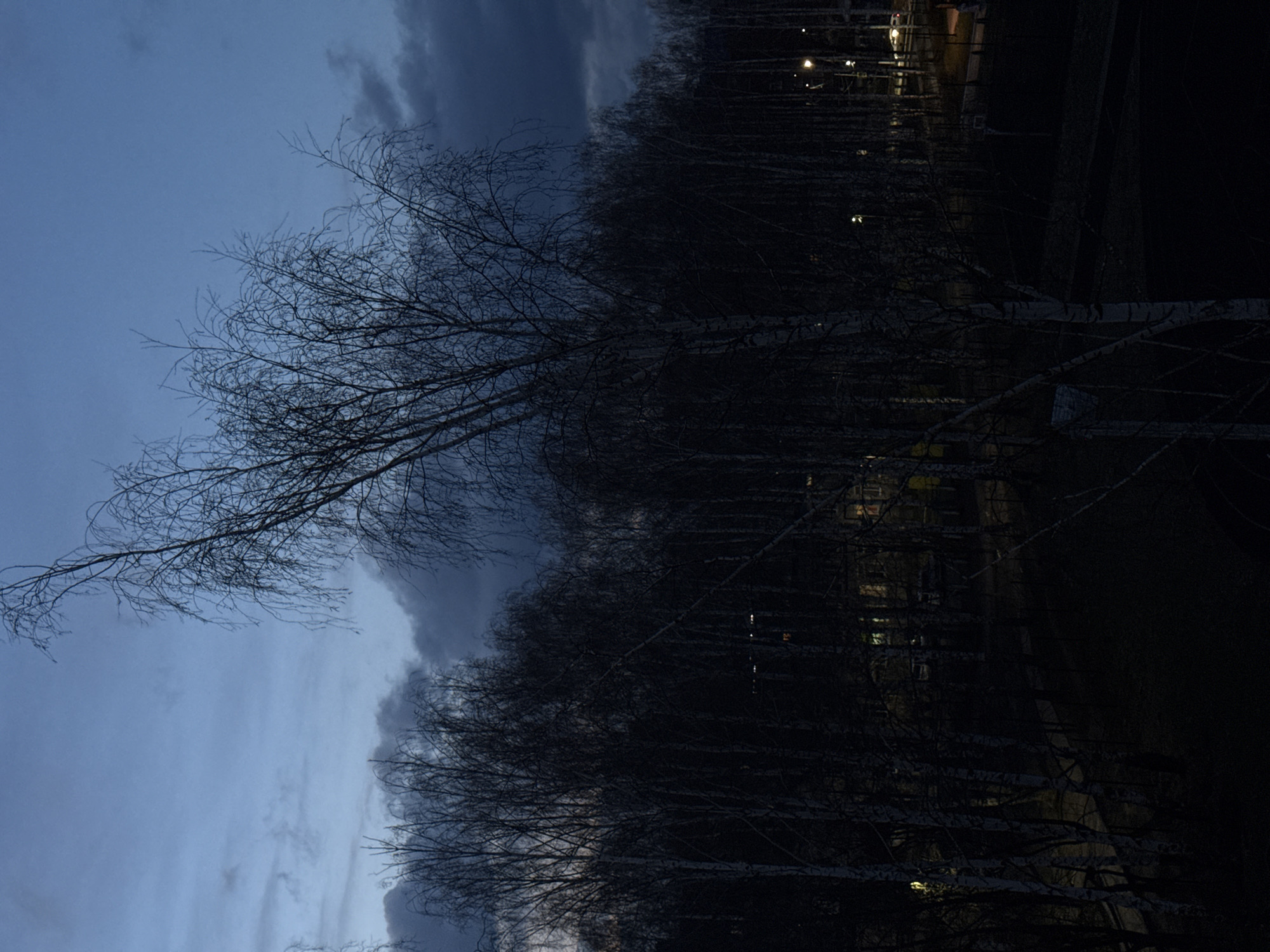 The image, when viewed in its intended landscape orientation (rotated 90 degrees counter-clockwise from its current display), depicts a twilight scene in Chaikovsky, Russia.
The left side of the frame is dominated by a vast, muted blue-grey sky, transitioning to slightly darker, cloudier tones towards the top. Intricate, bare branches of deciduous trees, likely birches given the visible pale bark on some trunks, extend across this sky, their delicate silhouettes forming a prominent feature.
A dense line of these trees runs vertically down the center and right side of the image, acting as a natural divider. To the right of these trees, the scene plunges into deep shadow, revealing a very dark background. Within this obscurity, numerous small, warm-toned artificial lights are visible, scattered horizontally, hinting at distant buildings or urban infrastructure.
The time of day is clearly twilight, with the natural light fading in the sky and artificial lights beginning to glow. The weather appears calm, with clouds present but no indication of precipitation. The bare branches suggest a cold season, likely winter or early spring. The overall mood is quiet and somewhat stark, emphasizing the transition from day to night in a natural, semi-urban setting. No people or visible text are present.
