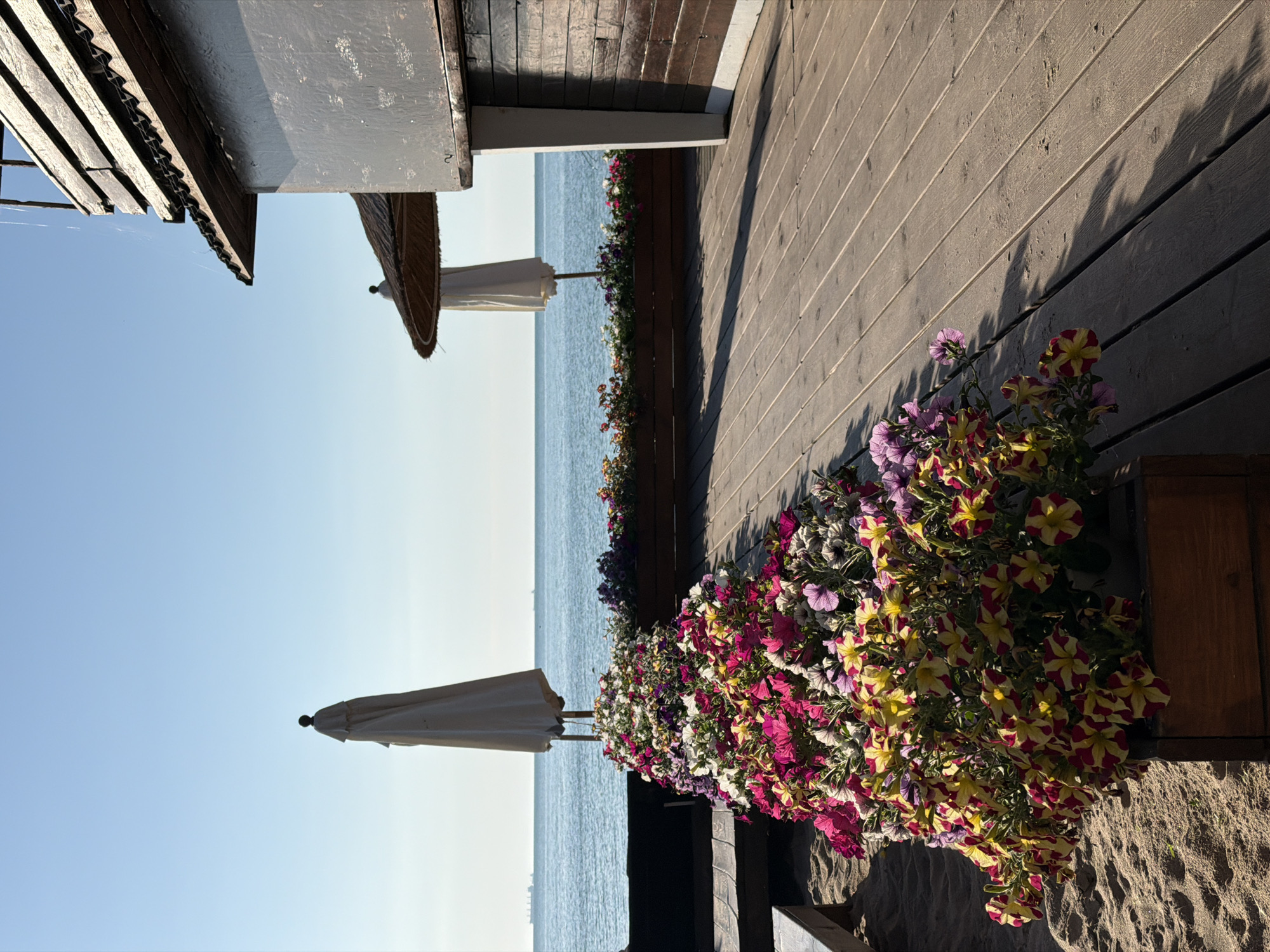 The image depicts a scene on the Odesa embankment, featuring a wooden boardwalk and a sandy area with lush floral arrangements. The boardwalk, made of aged wooden planks, extends towards the sea under a clear blue sky. In the foreground, a large wooden planter overflows with a vibrant display of pink, yellow, and purple petunias, casting shadows on the boardwalk. To the left, sand is visible, with glimpses of dark-colored benches.
Beyond the flowers and boardwalk, the calm, blue sea stretches towards the horizon, where a few ships are faintly visible. Two closed beach umbrellas stand near the water's edge, one white and the other with a thatched canopy, suggesting a recreational area. Adjacent to the boardwalk is a wooden structure, likely a cafe or shop, with a rustic, dark-stained wooden exterior and a weathered roof. The overall ambiance is tranquil, with the bright sunlight creating distinct shadows and highlighting the textures of the wood and flowers.
