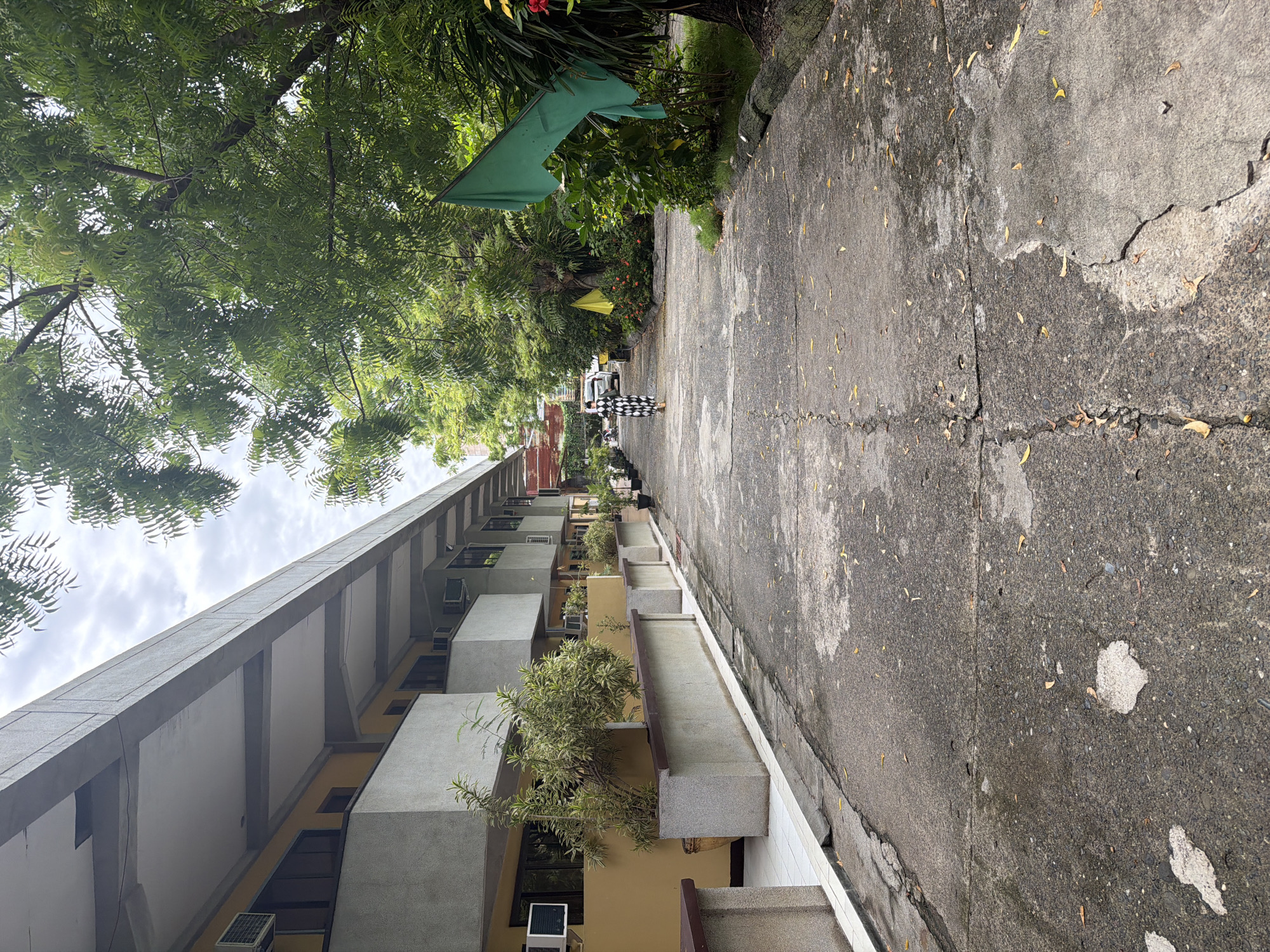 The image depicts a street in Davao City, Philippines, likely a residential or institutional area. A person wearing a distinctive black and white checkered dress is walking along a concrete sidewalk. The sidewalk has visible cracks and scattered leaves. To the left of the sidewalk is a multi-story building with balconies and air conditioning units installed in the windows. Small trees are planted on the balconies. The building appears to be a light yellow color. Trees are present on both sides of the street, creating a partial canopy. A green banner or flag is visible amongst the trees on the right side of the sidewalk. The sky is overcast.