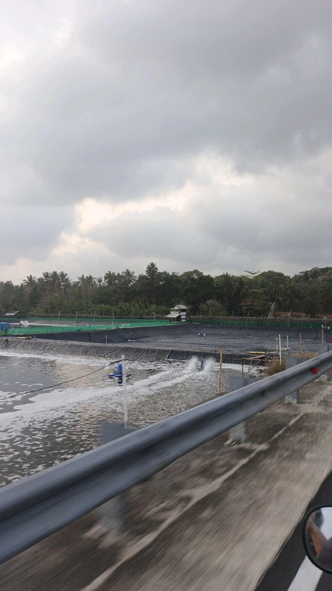 The image depicts a view of shrimp farms in Sukaresik, Indonesia. In the foreground, a gray guardrail runs along the edge of a road, showing motion blur, indicating the photo was taken from a moving vehicle. The road surface is wet and appears to be asphalt, with some light-colored streaks.
Beyond the guardrail, a large, dark pond is visible, lined with black material, likely a liner for the aquaculture pond. Water is churning in the pond, with visible aeration equipment, suggesting active shrimp farming operations. Another pond, similarly lined, is visible further back, separated by a green net-like fence. A treeline of palm trees and other lush vegetation forms the background, with a few small buildings scattered among the trees. The sky is overcast with heavy, gray clouds. The scene captures a typical rural landscape associated with aquaculture in the region.