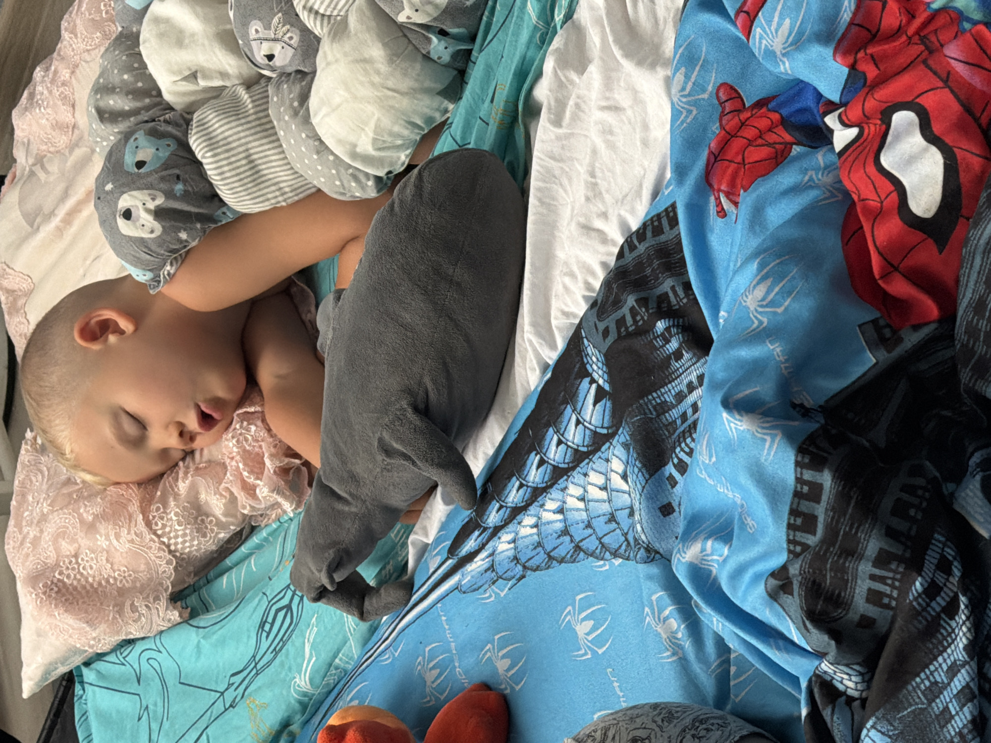 The image displays a young, light-haired child, appearing to be asleep, positioned on their right side on a bed in the city of Sochi, Russia. The child's eyes are closed, and their mouth is slightly open. Their head rests on a light pink, lacy pillow. A large, dark gray stuffed animal, resembling a whale or dolphin, is situated parallel to the child's left arm and torso. The child's midsection is partially covered by a gray blanket patterned with white polka dots and stylized bear faces in blue and white.
The bedding consists of multiple layers: a prominent light blue blanket with white spider symbols and a red and blue Spider-Man costume graphic is visible, particularly in the foreground and towards the bottom right. Another section of this blanket or an adjacent one displays a dark blue and black graphic pattern resembling a stylized cityscape or mechanical structure. Beneath these, a lighter teal-colored sheet with faint line drawings, possibly of a figure or abstract shapes, is visible under the child's head and the gray stuffed animal. A plain white sheet or blanket underlies some of these patterned layers. Partially visible on the far left are sections of orange and red soft objects, possibly additional stuffed toys. The scene is illuminated by what appears to be ambient daylight, casting soft light across the bedding.
