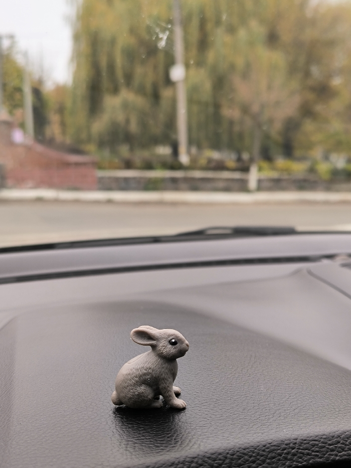 A small, grey rabbit figurine is situated on the textured black dashboard of a vehicle. The figurine, approximately 3-4 cm tall, is in sharp focus, facing slightly right with visible black eyes and prominent ears. The background, viewed through the vehicle's windshield, is out of focus, depicting a street scene in the city of Illintsi, Ukraine. A paved road is present in the mid-ground, flanked by a concrete curb and a sidewalk. Beyond the sidewalk, deciduous trees displaying yellow and brown autumn foliage line the street. A vertical utility pole stands among the trees. To the far left, a building with a reddish-brown roof and light-colored walls is partially visible. The sky is overcast. No people, active movements, or interactions are depicted in the scene.