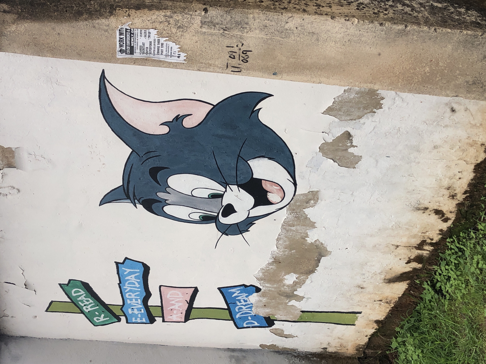 The image shows a mural on a weathered exterior wall. The mural features a cartoon drawing of Tom the cat's head, with his characteristic blue fur, large green eyes, and pink inner ears. To the left of Tom, a vertical green pole supports three directional signs. The top sign, pointing left and colored green, reads "R-READ". Below it, a blue sign pointing left reads "E-EVERYDAY". The bottom sign, pointing left and colored pink, reads "A-AND". Below this, a blue sign pointing left reads "D-DREAM". To the right of the mural, a torn flyer is affixed to the wall. The flyer appears to be a job advertisement. The wall itself is predominantly white with significant peeling paint and staining. A concrete pillar, textured and darker than the main wall, is visible on the right side of the image. Green grass and foliage grow at the base of the wall.