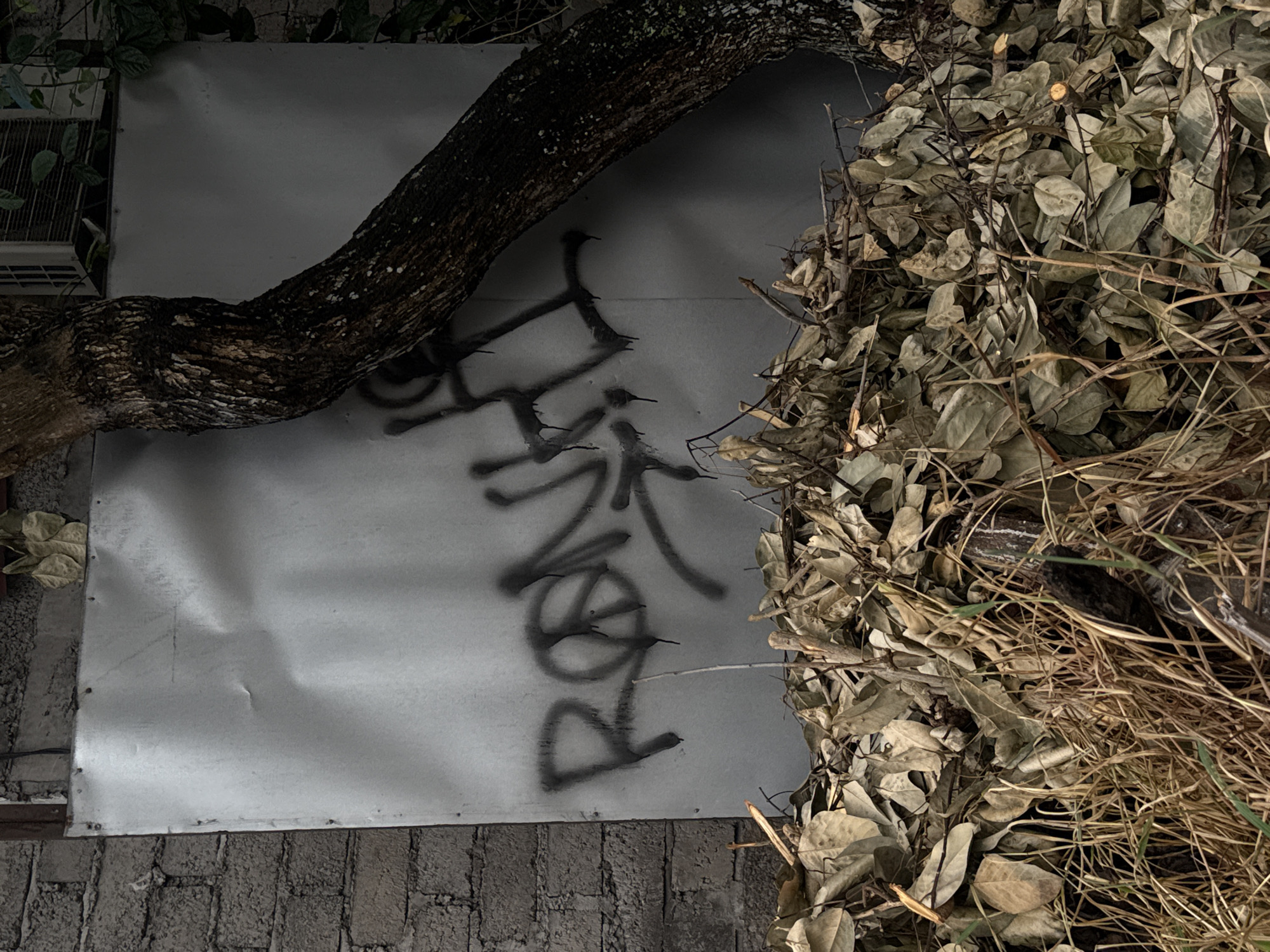 The image captures a static, dimly lit scene featuring natural and man-made elements, likely taken at night or under low light. A thick, dark tree trunk with textured bark diagonally crosses the upper left portion of the frame. Below the tree trunk and extending across the middle is a light-colored, somewhat dented metal sheet, possibly aluminum or galvanized steel. On the right side, a substantial pile of dried leaves, twigs, and brown grass forms a dense mass, suggesting accumulated debris. Along the bottom edge, a rough brick or concrete block wall is visible. In the top left corner, a small section of an air conditioning unit or vent can be seen, partially obscured by green foliage.
There is no discernible activity taking place. The scene has a somewhat neglected or urban-edge aesthetic.
A prominent feature is the black spray-painted graffiti on the metal sheet. The visible text appears to be a stylized tag. The most clearly identifiable characters are a 'P' followed by a circle with a diagonal line through it (resembling a 'Ø' or a 'no entry' symbol), and then a very stylized character that could be an 'L' or 'R'. Above and to the left of these, more abstract, angular black shapes form part of the same graffiti piece, but are harder to decipher into specific letters. The overall impression is a complex, artistic signature or tag.
The lighting conditions are low, casting dark shadows and highlighting certain textures, particularly on the tree bark and the dried leaves. The presence of the tree, dried foliage, and the visible building elements (metal sheet, wall, possible AC unit) suggests an outdoor, possibly urban or semi-urban setting, consistent with its location in North Kuta, Indonesia.