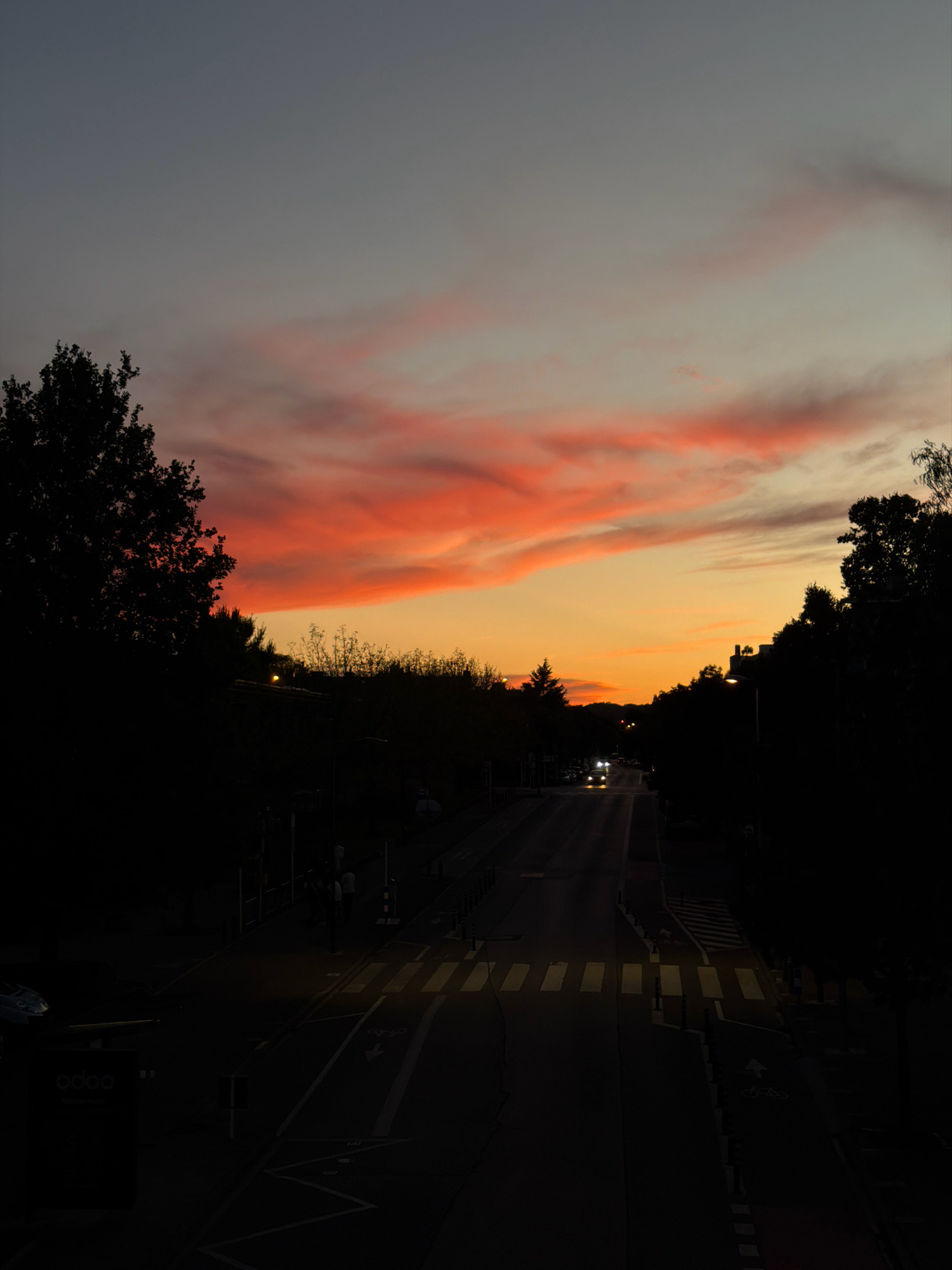 An elevated view captures a road at dusk in Esch-sur-Alzette, Luxembourg, with a vibrant sky. The sky is dominated by a dramatic sunset, with fiery orange and pink clouds streaking across a gradient of fading blue. Silhouetted trees line both sides of the road, framing the scene. The road itself is dark, illuminated by the headlights of a few approaching cars and the glow of streetlights. A pedestrian crossing is clearly visible, marked by white stripes. On the left side of the road, a dark billboard with the text "odoo" is partially visible. The overall impression is one of a peaceful, urban evening transition.