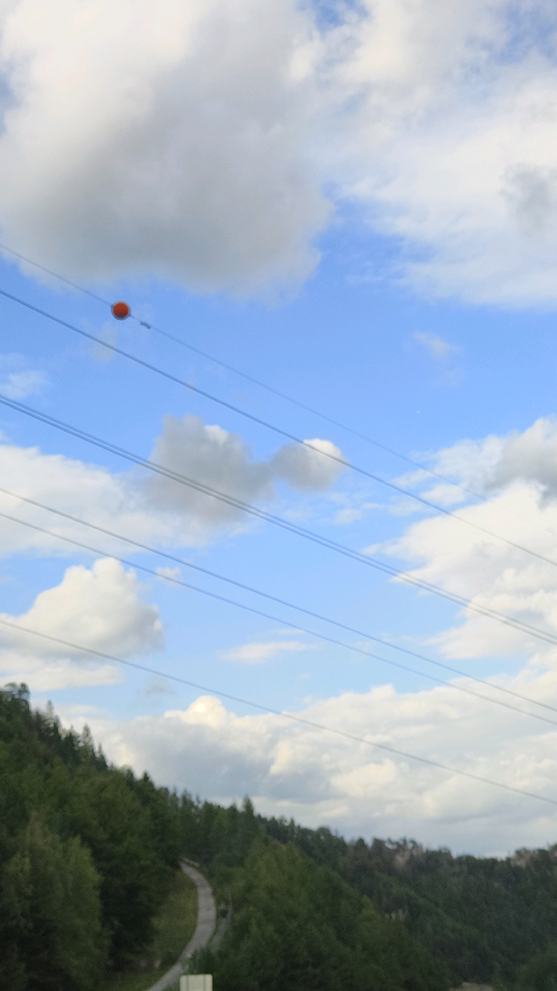 An outdoor, eye-level, vertical medium shot captures a bright blue sky with scattered white clouds and several parallel power lines. A small, orange, spherical marker is attached to the uppermost power line. The lower half of the image features a densely forested hillside with a winding, unpaved path visible through the trees. The forested hillside appears to be part of the landscape near Schottwien, Austria, given the terrain.