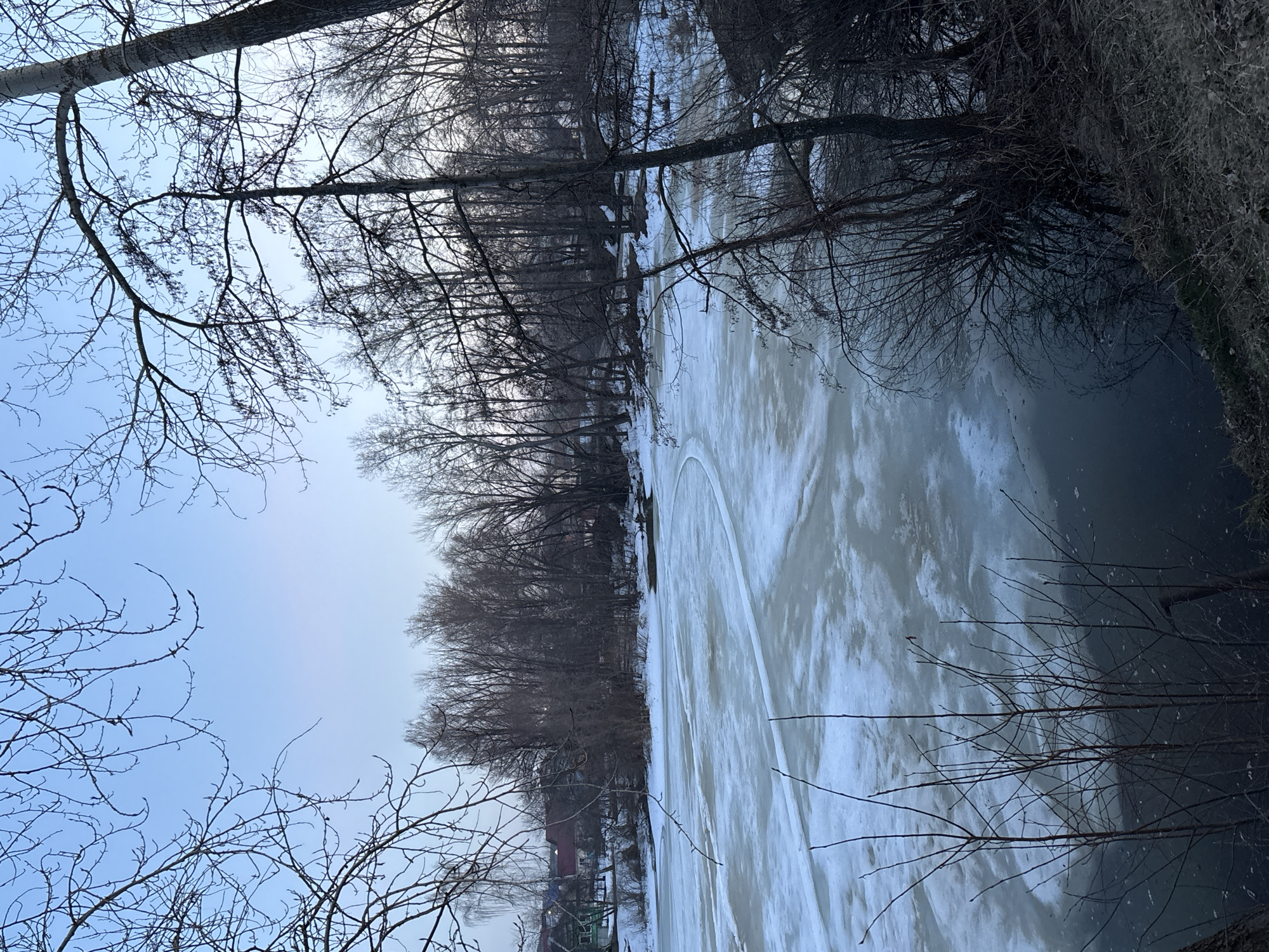 A winter landscape in Chaikovsky, Russia shows a partially frozen body of water, possibly a pond or river, covered in a layer of ice and snow. The water is framed by bare trees and branches, characteristic of a winter season. Buildings and structures are visible in the background on the left side of the image, but they are partially obscured by the trees. The sky is overcast, contributing to the overall cool and subdued tone of the scene. Traces of human activity, such as possible skating tracks, are visible on the ice.
