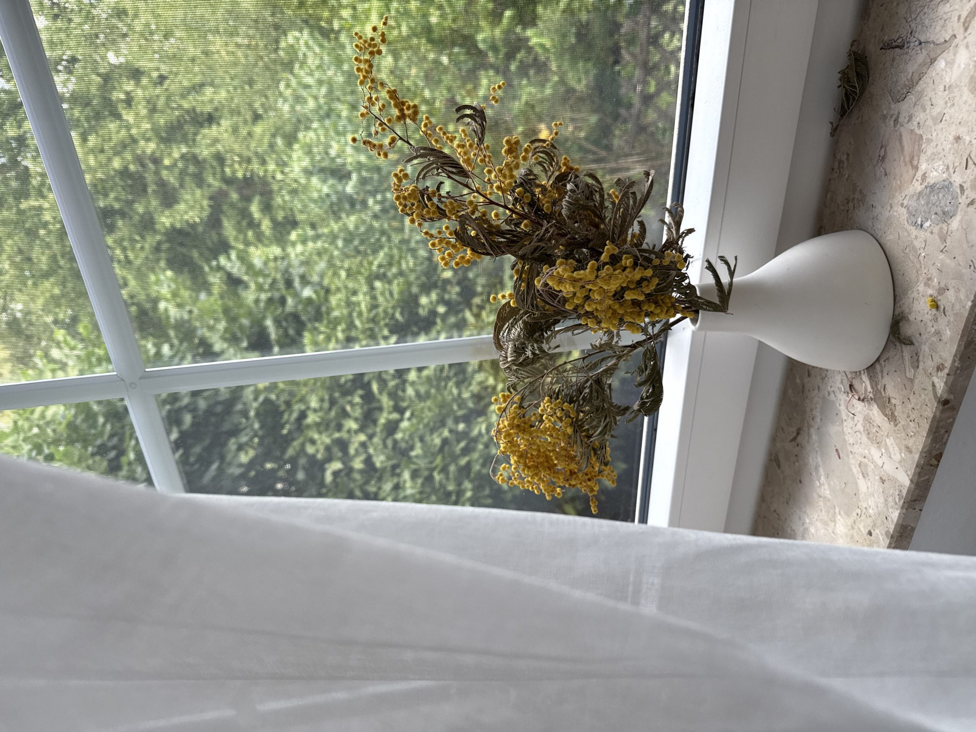A white vase containing dried yellow flowers and foliage sits on a marble windowsill in Bad Sachsa, Germany. The vase is positioned in the center of the frame, slightly to the right. To the left, a white curtain drapes down, partially obscuring the view. The window behind the vase looks out onto lush green trees and foliage, suggesting an outdoor environment. The overall scene evokes a sense of natural beauty and quietude.
