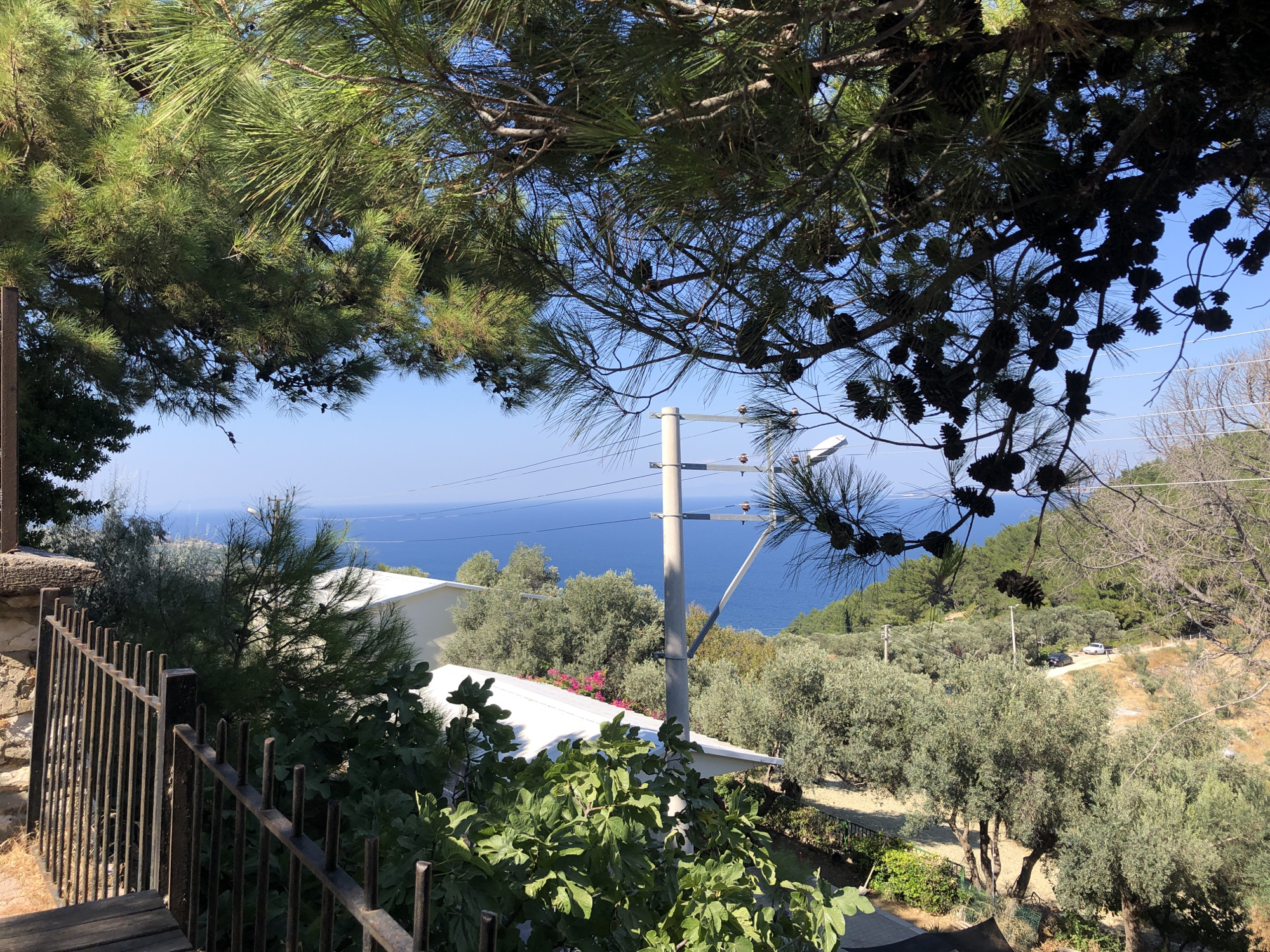 The image depicts a view overlooking the Aegean Sea from a hillside in Karaburun, Turkey. In the foreground, a black metal fence runs horizontally across the bottom left, with a wooden structure visible below it. Above the fence, lush green pine branches with visible pinecones hang from the top of the frame, partially obscuring the sky and the scene beyond.
In the midground, a white-roofed building with a yellow facade is nestled among dense olive trees and other Mediterranean vegetation. A single pink flowering bush is visible near the building. A concrete utility pole with electrical wires stands prominently in the middle of the frame, extending upwards towards the sky.
Further into the background, the clear blue expanse of the Aegean Sea stretches to the horizon, meeting a cloudless, pale blue sky. The coastline is dotted with more olive trees and green hills that slope down towards the water. A winding dirt road is visible on the right side of the frame, with two vehicles parked on it: a dark-colored car and a white pickup truck. The overall scene conveys a sense of a tranquil, sun-drenched day in a coastal area.