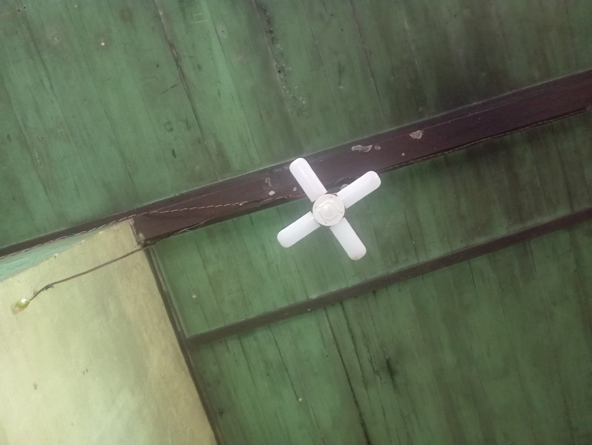 The image shows a ceiling fan with four white blades mounted on a dark brown beam, which is part of a wooden ceiling. The ceiling planks are painted green and appear weathered. A thin, dark wire runs from the upper left of the frame, connecting to a small, light-colored object near the top edge of the image. The perspective is looking upwards. The scene is located indoors, in Rejosari, Indonesia.