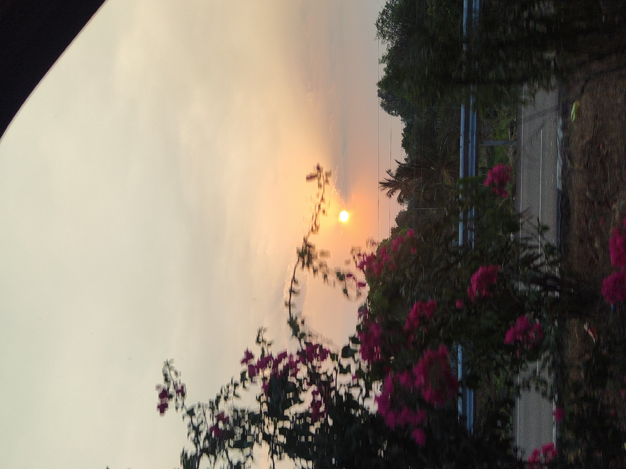 The image depicts a hazy sunset over a roadside scene in Aruru, India. The sky is predominantly pale yellow, with the sun appearing as a bright orange orb. Vegetation, including trees, flowering bushes with pink blossoms, and a palm tree silhouette, borders a road. A metal guardrail is visible along the roadside. A portion of a dark object, possibly a vehicle interior, appears in the upper left corner. The image is slightly blurred, suggesting movement during the capture.