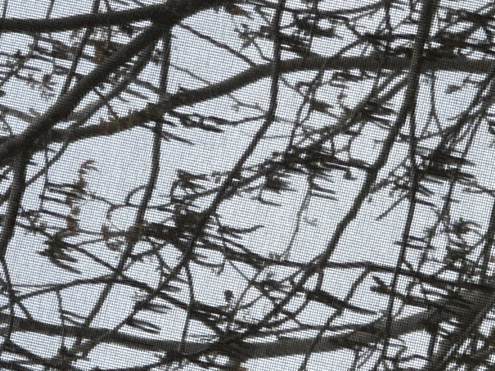 The image shows a view through a window screen, obstructed by bare tree branches. The background appears to be a grey sky. Zhiten, Bulgaria, is not evident in the visual information provided.