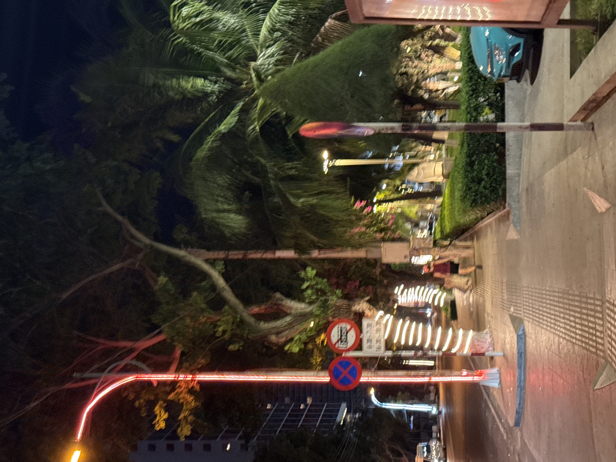 The image depicts a street scene at night in Nha Trang Ward, Vietnam. A palm tree and various other trees are visible. Traffic signs are present, as is a street with pavement markings. The scene includes building lights.