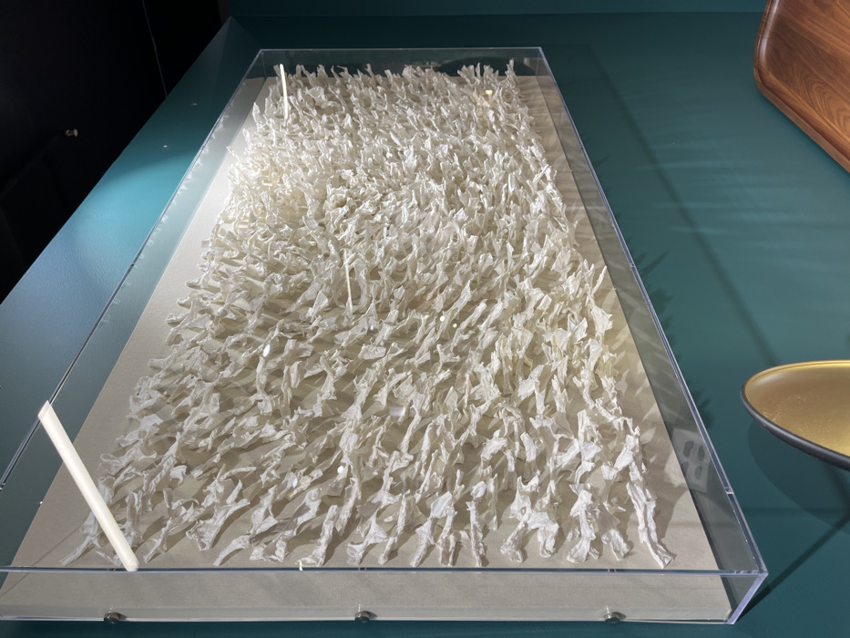 A rectangular transparent case contains a dense arrangement of small, white, origami-like sculptures. These appear to be evenly spaced and oriented in a similar direction, creating a textured, possibly organic, pattern. The case sits on a flat, green surface. A partially visible wooden tray and a small, golden dish are positioned next to the display case. The lighting is bright, with visible reflections on the surfaces.