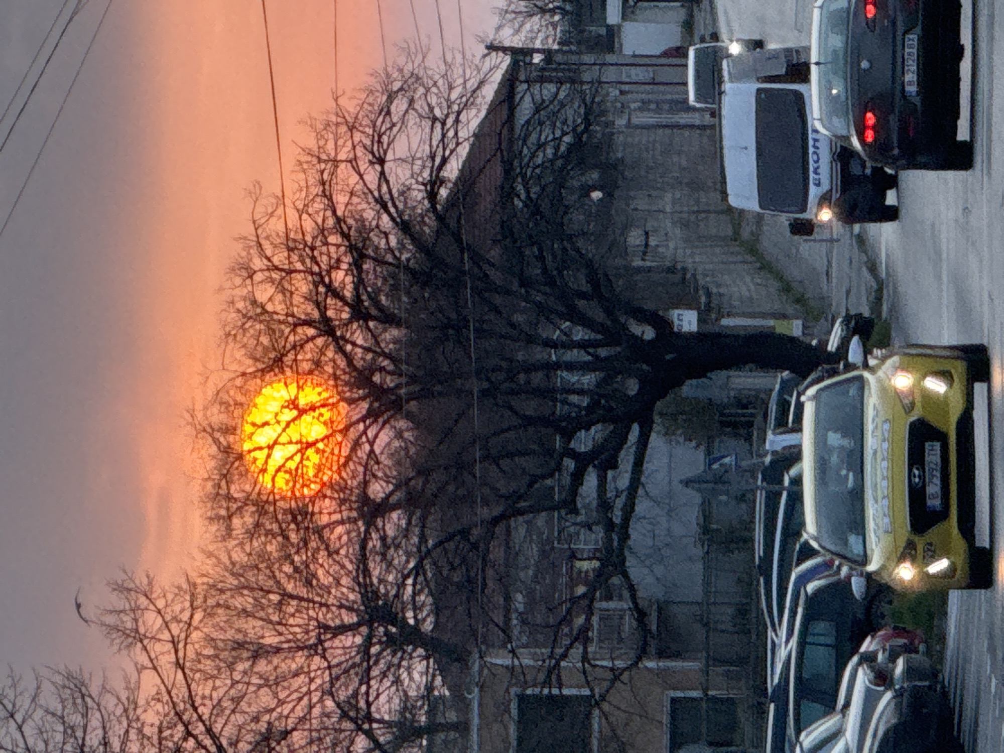 The image captures a sunset in an urban environment, likely Varna, Bulgaria. A bare tree is silhouetted against the setting sun, which is a bright orange orb. In the background, buildings suggest a residential area with a stone or concrete fence visible. The foreground depicts a street with parked cars, including a yellow taxi with illuminated headlights. A white van and a darker car are also present on the street. The scene is further characterized by utility poles and overhead wires. The overall impression is one of an ordinary urban setting with a striking sunset.