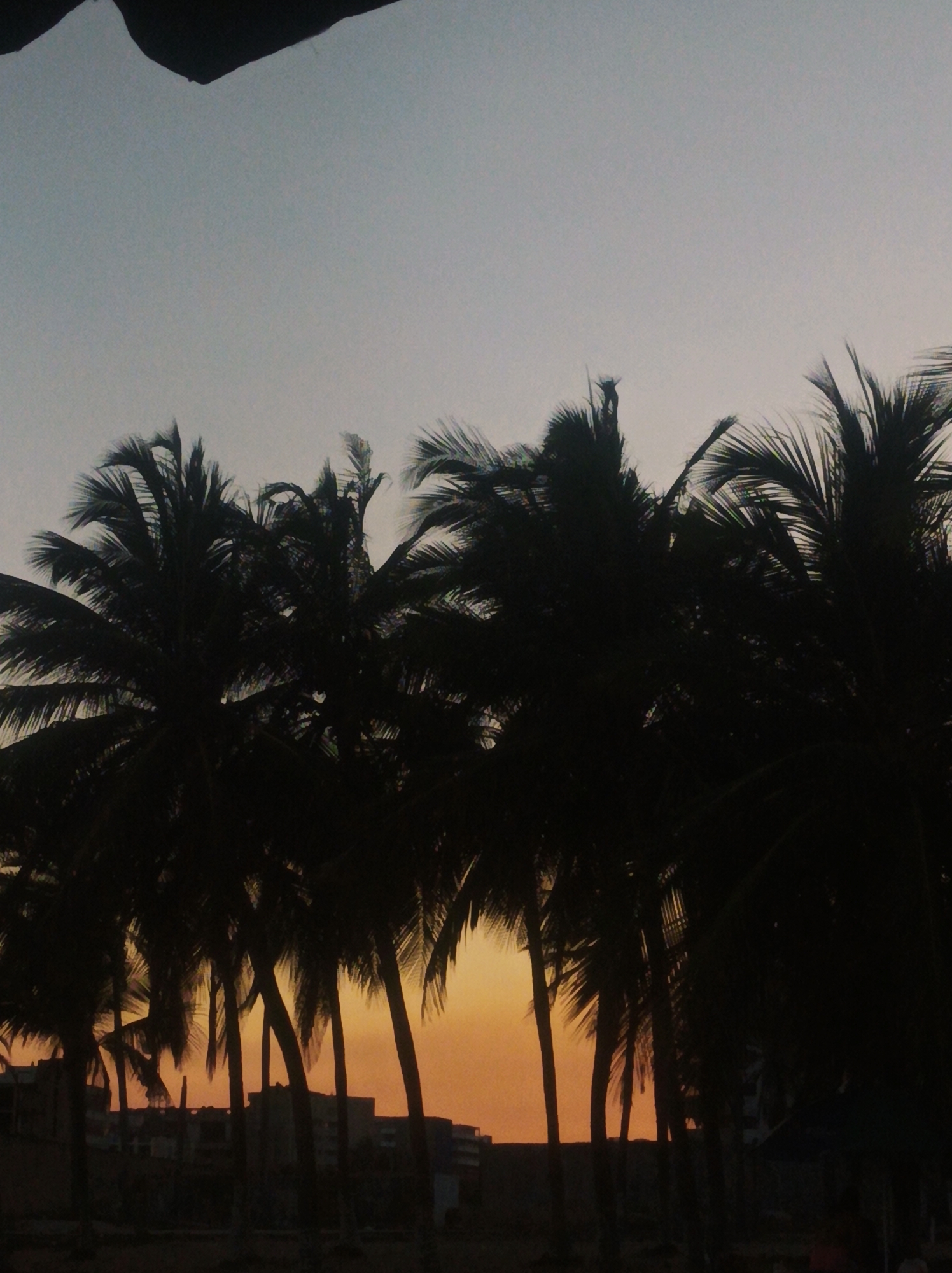 The image shows a sunset in Porlamar, Venezuela. Silhouetted palm trees dominate the foreground, obscuring the buildings on the horizon. The sky fades from pale blue to a vibrant orange where the sun has set. There is a dark object in the top of the frame which may be a roof.