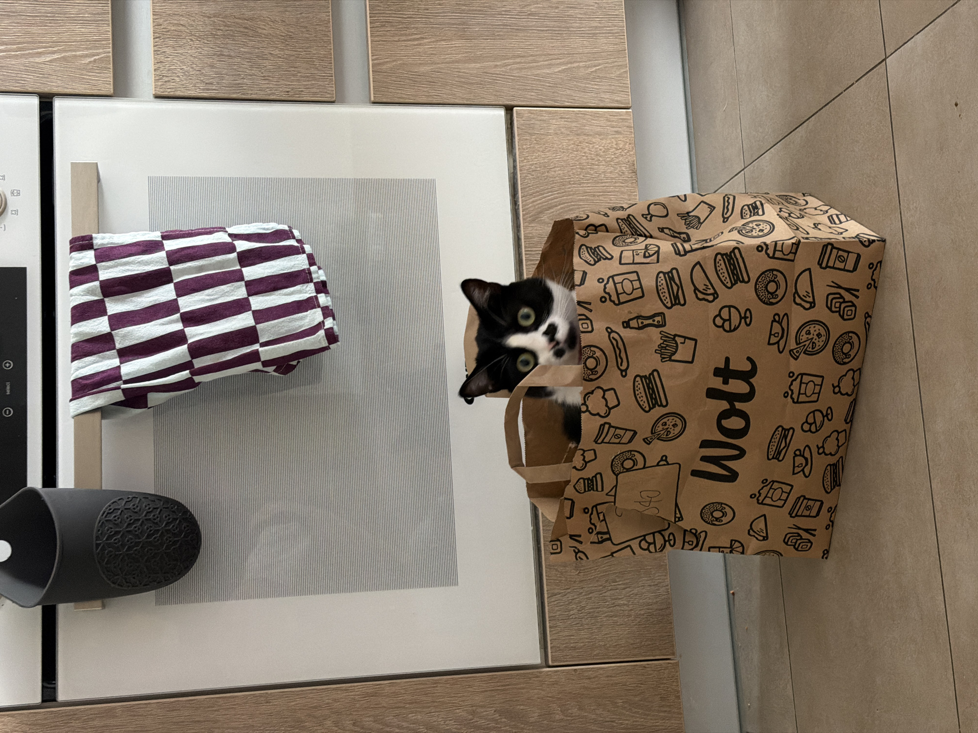 A tuxedo cat peeks out of a Wolt paper bag in an indoor setting. The bag, adorned with food icons and the "Wolt" logo, sits on a light-colored tile floor near kitchen cabinets. A white oven with a black control panel and a towel rack displaying a checkered purple and white towel is visible on the left side of the frame. The location is likely Belgrade, Serbia, given the Wolt bag, a food delivery service operating in that city.