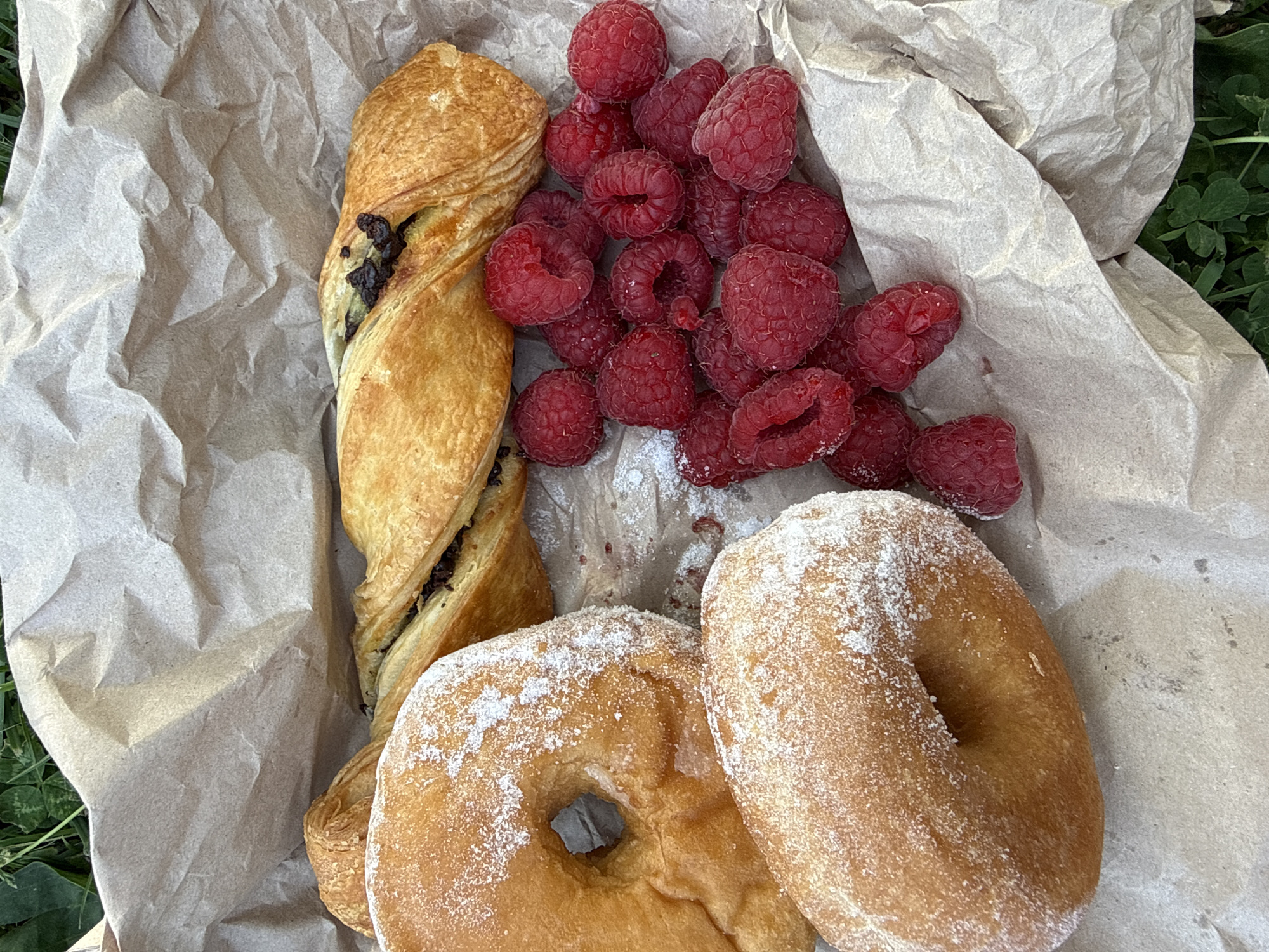 The image shows a selection of pastries and raspberries on crumpled brown paper, likely a takeaway container. The pastries include a twisted chocolate pastry and two powdered sugar-covered donuts. There are about 20 raspberries piled together. The background shows a glimpse of green vegetation, possibly grass or clover. The image suggests a casual outdoor setting and food purchased for consumption, but the context of High Wycombe, United Kingdom is not directly visible in the image. No people are visible in the photograph.