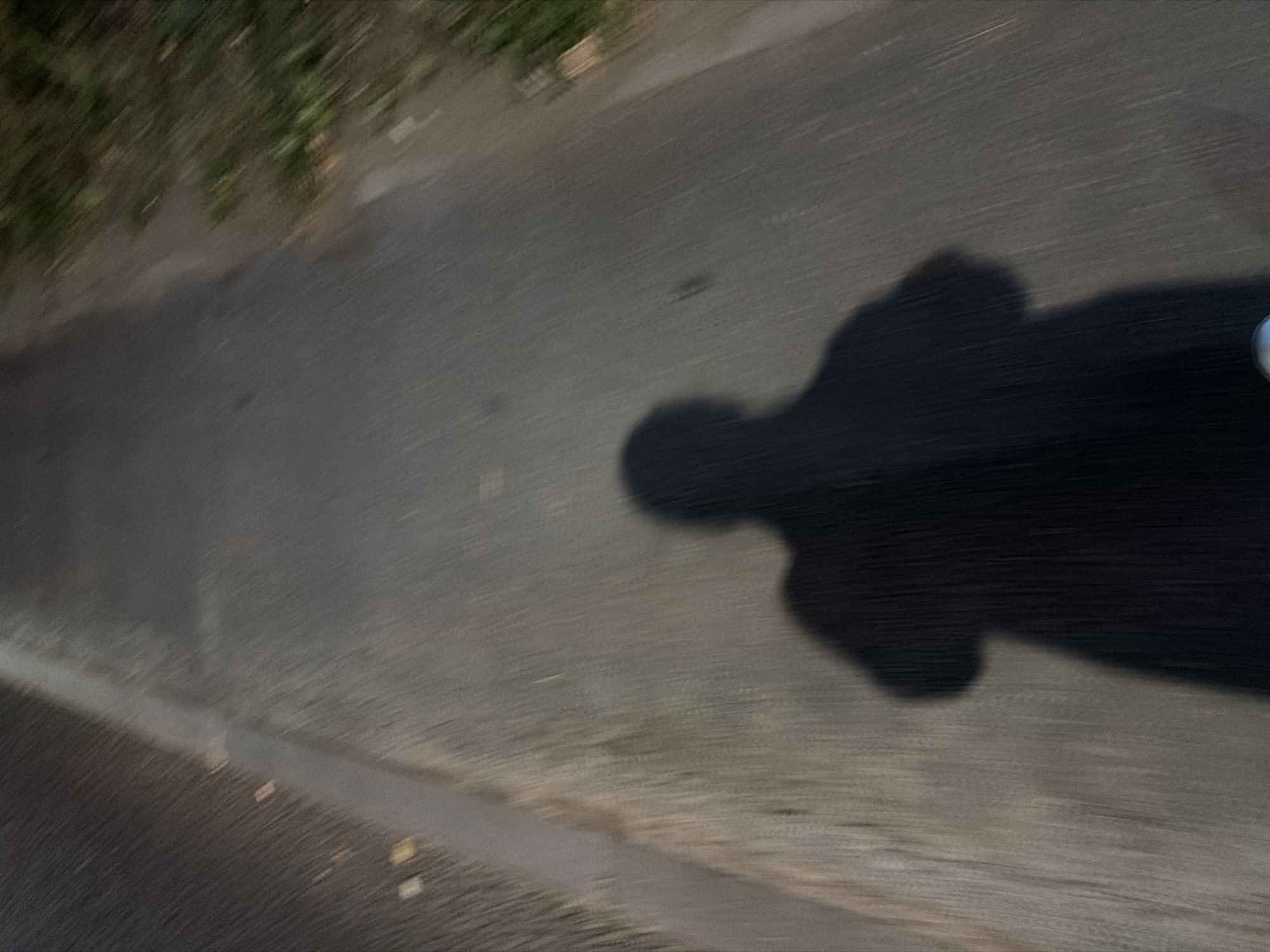 The image shows a blurry shadow of a person walking on a paved path. The path appears to be in an outdoor urban setting, possibly a park or sidewalk, with vegetation visible on the right side. The lighting suggests it is either early morning or late evening. The shadow is cast by a light source in front of the person. The image is taken from a low angle, looking down at the path and the shadow. There is no specific indication of the location within Pavlodar, Kazakhstan.
