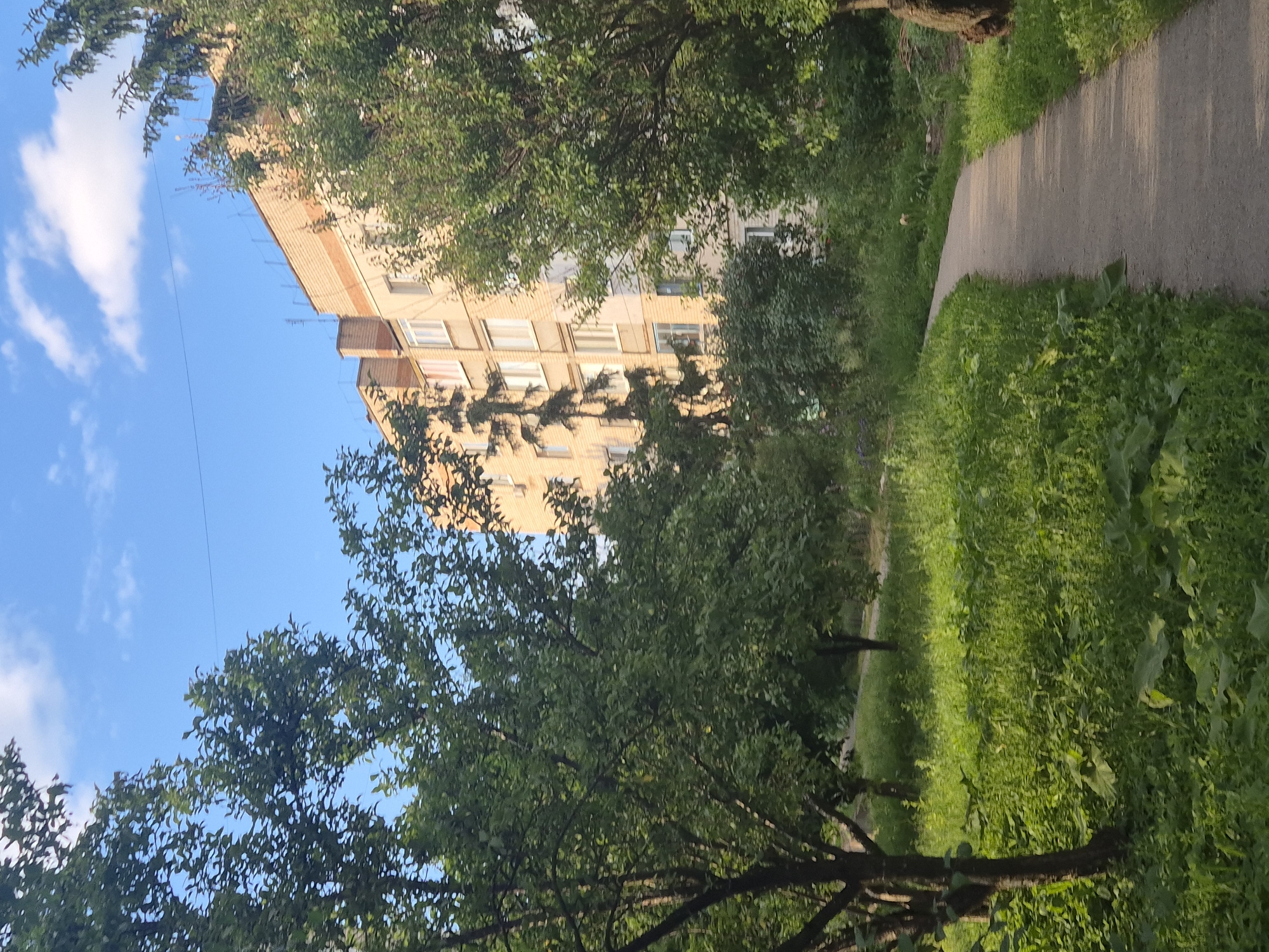 The image captures a view of a residential building in Sozonivka, Ukraine, bathed in natural daylight under a clear blue sky with scattered white clouds. In the foreground, a winding concrete path curves to the right, bordered by lush green grass and foliage. Several trees with dense green leaves flank the path and the building, with branches extending into the frame. The building itself is a multi-story structure with a light brick facade and numerous windows. The scene depicts an outdoor urban environment with a focus on a pathway leading towards the building, surrounded by natural greenery.