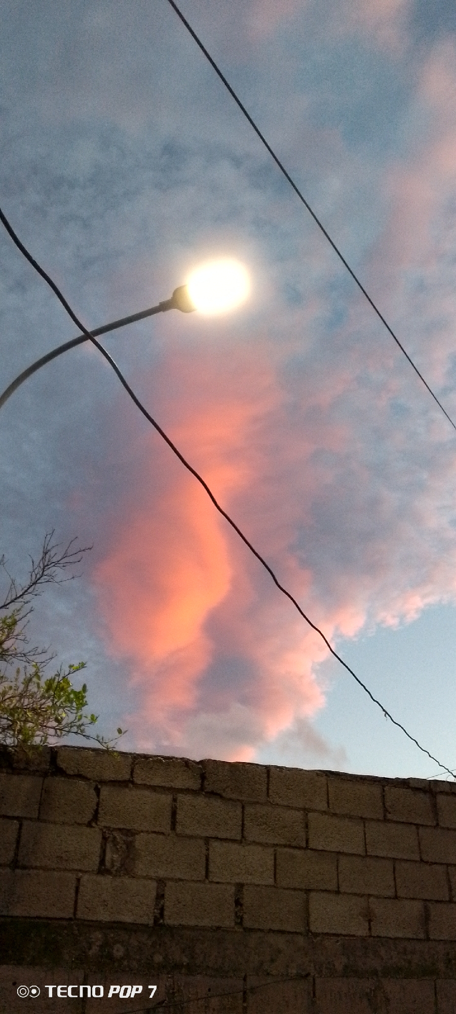 The image captures a streetlamp illuminated against a sky painted with twilight hues of pink and blue. Wispy clouds are visible, some tinged with orange. Two dark power lines bisect the sky diagonally. In the foreground, a rough, textured wall constructed of grey cinder blocks runs horizontally across the bottom of the frame. To the left of the wall, a sparse, bare tree branch extends into the lower portion of the sky, with a few green leaves on its lower branches. The lighting suggests a transition from day to night, or vice versa. The bottom left corner of the image contains a watermark that reads "TECNO POP 7". The scene is likely an outdoor urban or suburban setting in Altagracia, Venezuela.