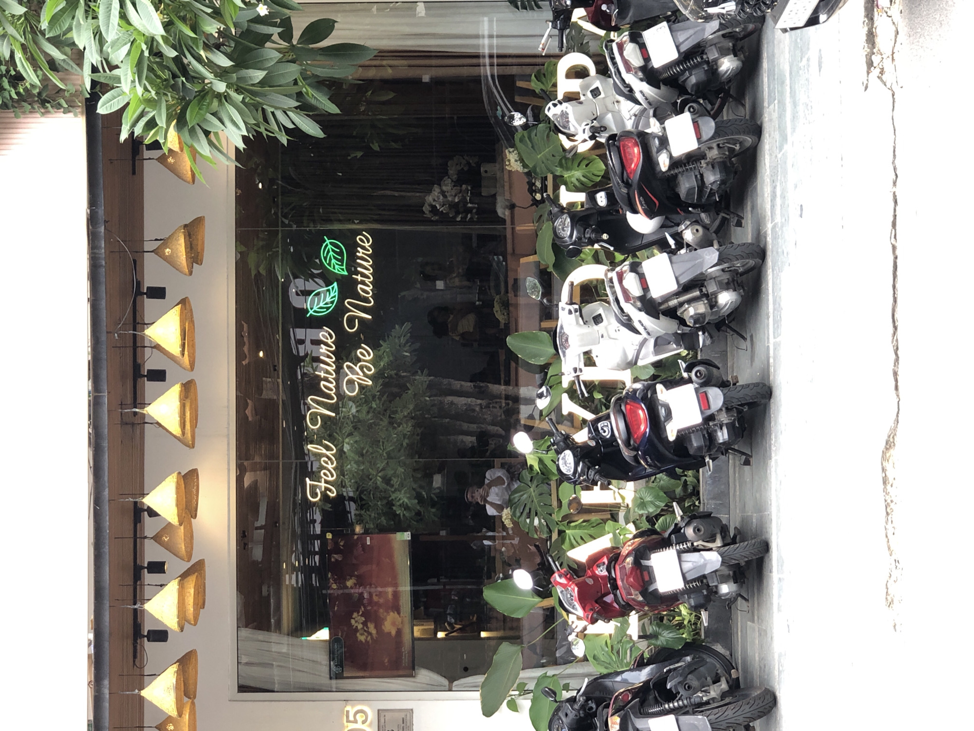 This image captures a street-level view of a storefront in Da Nang, Vietnam. Several scooters are parked in front of the establishment, with their rear ends facing the camera. The storefront itself features a large glass window reflecting the interior and the street outside. Above the window, a row of conical, straw-like lamps hang from the ceiling. Inside the store, neon signs with the text "Feel Nature Be Nature" are visible, illuminated in a pale yellow and green, with two green leaf motifs. Lush green plants are placed both inside and outside the storefront, contributing to the "nature" theme. One person is visible through the glass, holding a phone. The lighting suggests it is daytime, with some sunlight filtering through the trees visible to the right of the frame. The overall impression is one of a modern establishment embracing a natural aesthetic.