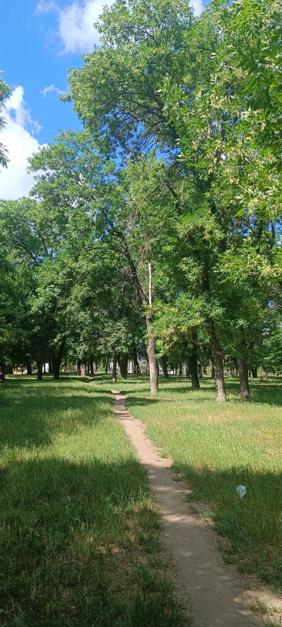 This is a vertical, eye-level, full shot of a dirt path winding through a sun-dappled grassy field in a park setting. Tall, leafy green trees with scattered white flowers form a dense canopy overhead, casting dappled shadows on the path and grass. The sky above is a vibrant blue with scattered white clouds. The path itself is well-worn and appears to be a popular walking route. The overall atmosphere is peaceful and serene, suggesting a warm, sunny day in a temperate climate. There are no people or specific objects visible that would indicate a particular activity or event. The location is identified as Zaporizhzhia, Ukraine. The time of day appears to be daytime, with the sun high in the sky. The weather is fair and sunny. The presence of tall trees and a maintained grassy area suggests a park or public garden.