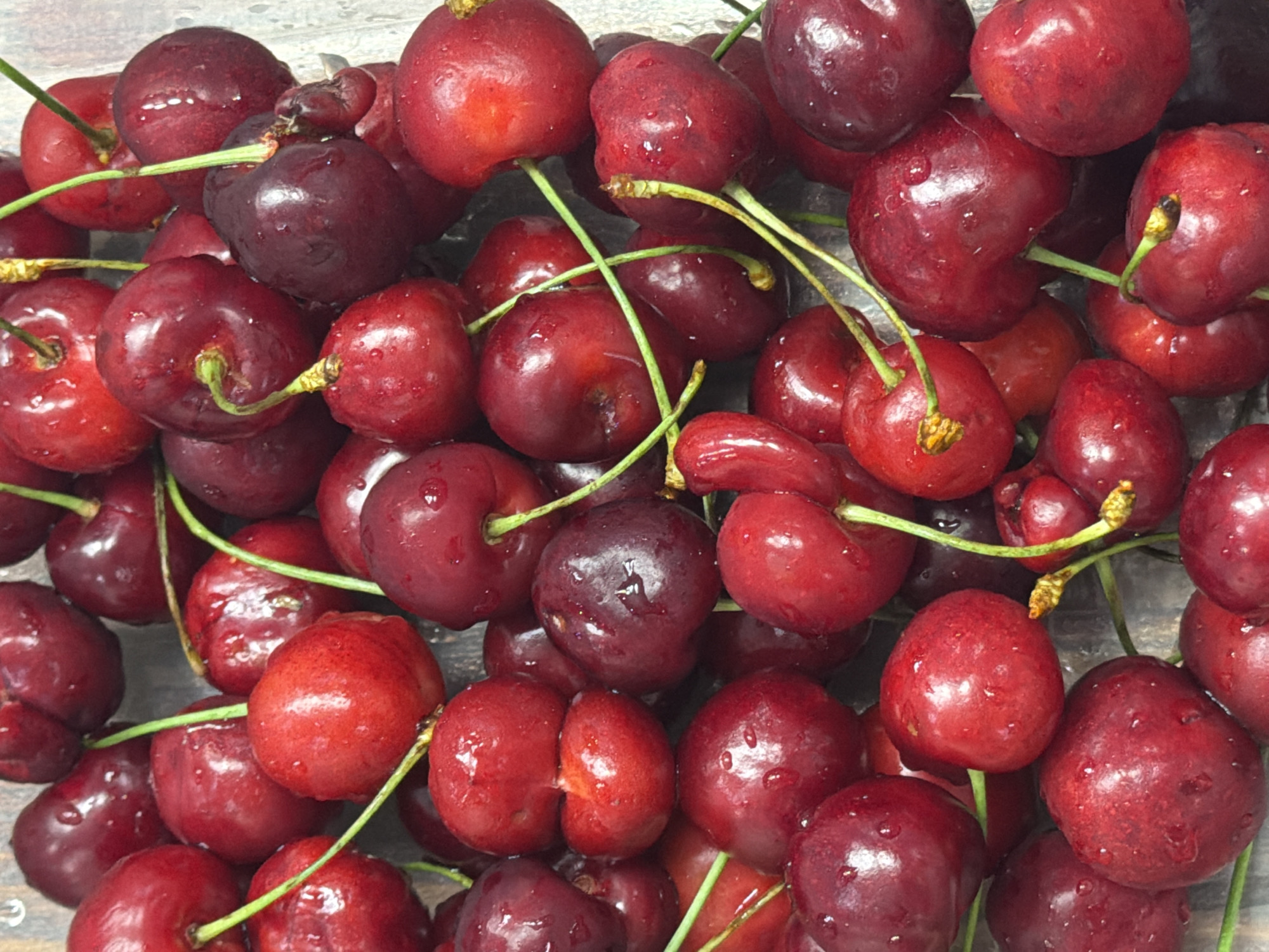 The image shows a close-up of a pile of fresh cherries, with stems still attached. The cherries vary in color from bright red to deep burgundy, some appearing almost black. Water droplets are visible on the surface of many of the cherries, suggesting they have been recently washed or rained upon. The stems are green and intertwined. The location is not discernible from the image.