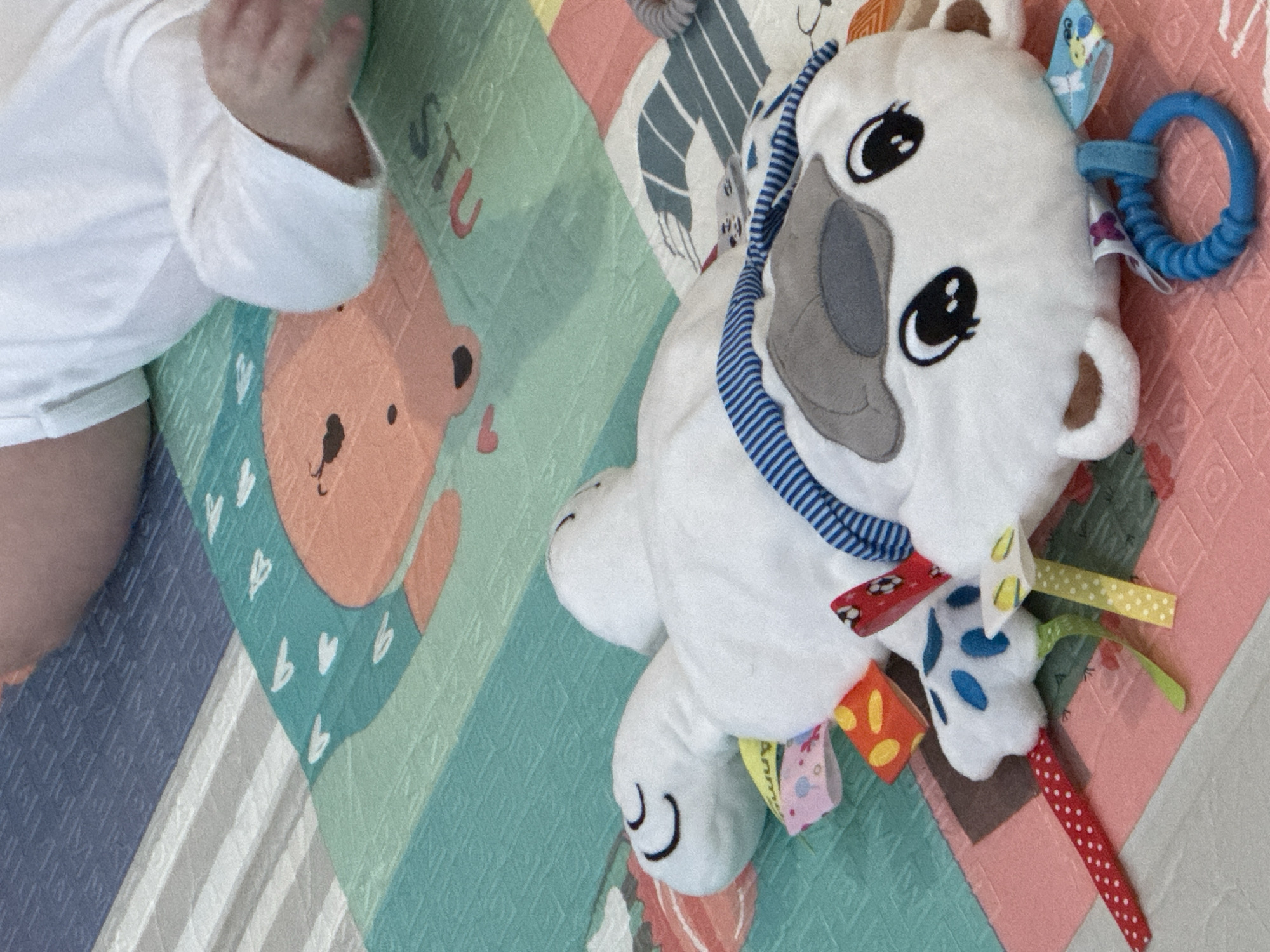 The scene depicts an indoor environment in Chaikovsky, Russia. A partial view of an individual, consistent with an infant or toddler, is observed in the upper right quadrant, oriented face-down or prone, wearing a long-sleeved white garment. The individual's left arm and a portion of the torso are visible, resting upon a multi-colored playmat.
Central to the image, a white plush toy, approximately 30-40 cm in length, lies on its back. The toy features a face with large black eyes, grey floppy ears, and a blue and white striped fabric accent around its neck. Attached to its periphery are multiple sensory fabric tags in various colors and patterns, including red with white polka dots, orange with yellow dots, patterned pink, yellow with white dots, and a red tag depicting white soccer balls. A blue, ridged teething ring is affixed to the toy near its face.
The underlying surface is a brightly colored playmat composed of interconnected sections. Visible patterns include a peach-colored bear-like character wearing a teal shirt with white heart shapes, and partially visible red letters spelling "STU". Other sections feature teal, pink, light blue, and grey/white striped designs. The lighting is consistent with an indoor setting. No direct interaction between the individual and the toy is captured; both are positioned on the playmat.