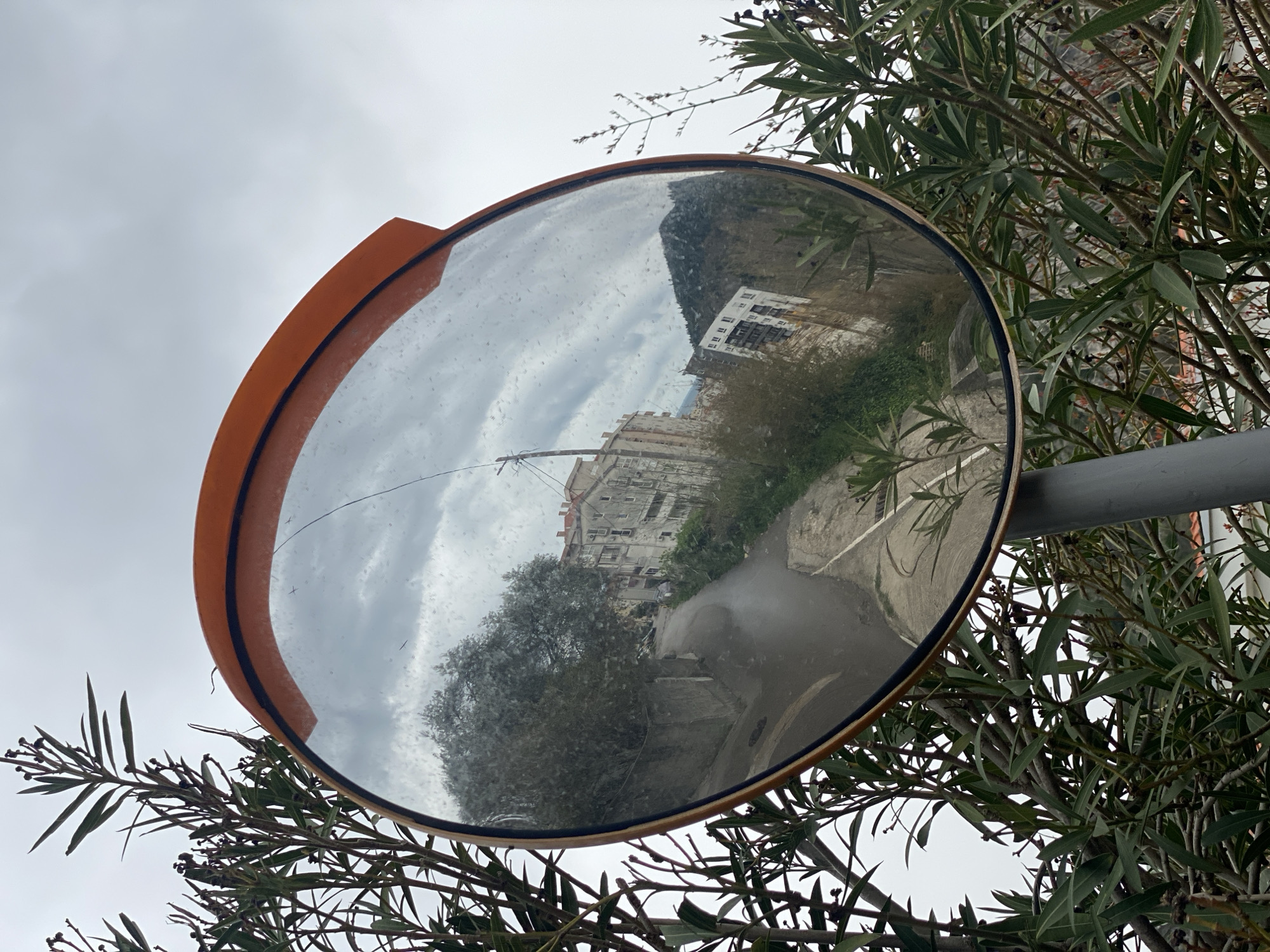 The image shows a convex safety mirror mounted on a gray pole, positioned among dense green foliage with elongated leaves. The mirror reflects a street scene under a cloudy sky. A multi-story building with a light-colored facade and multiple windows is visible. A gray road and some greenery are also reflected. The orange-colored edge of the mirror is visible. The scene appears to be in an urban setting; given the prompt, it's located in Budva, Montenegro. No people or subjects engaging in actions are directly visible in the mirror's reflection.