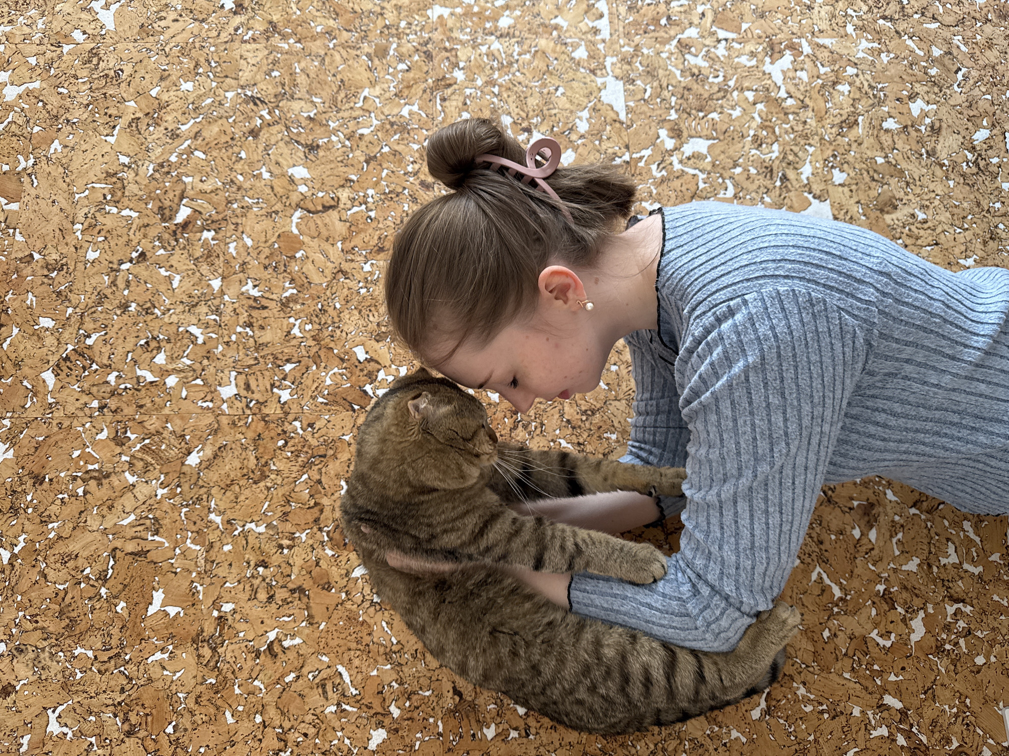 A young person and a tabby cat share an intimate moment on a textured cork floor. The person, appearing to be a young female, is lying down and gently embracing the cat, with their foreheads touching. She has light brown hair pulled into a high bun, secured with a pink claw clip, and wears a light blue or grey ribbed long-sleeved top with a black trim around the neckline. A small pearl earring is visible on her right ear. Her expression is soft and affectionate, indicating a deep bond with her pet.
The cat, a brown tabby with distinct stripes and whiskers, is nestled comfortably in the person's arms. Its eyes are closed or nearly closed, suggesting contentment and relaxation. Its paws are casually draped over the person's arms and leg.
The scene takes place indoors, with the primary background being a light brown cork floor. The cork material features irregular, mosaic-like patterns of various shades of brown and tan, with scattered white specks or gaps. The lighting is bright and even, consistent with an indoor setting during daytime, though the exact time and weather are not determinable. There is no visible text. The overall atmosphere conveys a sense of peaceful companionship and mutual affection between the person and their feline friend.