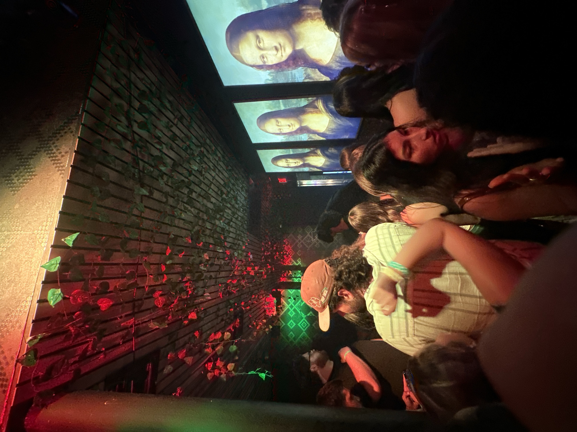 The scene is inside a darkened exhibition hall, possibly a museum, likely in Tampa, Florida, United States.
A group of people stand close together, primarily facing forward. The lighting is dim and dramatic, with red and green accents.
To the left, there's a textured wall decorated with trailing vines and leaves, illuminated with red lighting. The wall suggests a garden or natural motif.
Above the crowd, three framed portraits of the Mona Lisa are visible. They are evenly spaced, and likely projected or displayed as part of an art exhibit.
People are dressed casually. A person in the foreground wears a plaid shirt and has a wristband. Another wears a cap with writing on it. The crowd seems to be experiencing the immersive exhibit.
The environment seems to be part of a ticketed immersive art exhibit based on Renaissance art.